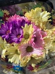 A vibrant bouquet of flowers consisting mainly of daisies in various shades of purple, pink, and yellow. The bouquet is wrapped in a transparent cellophane with colorful flower prints.