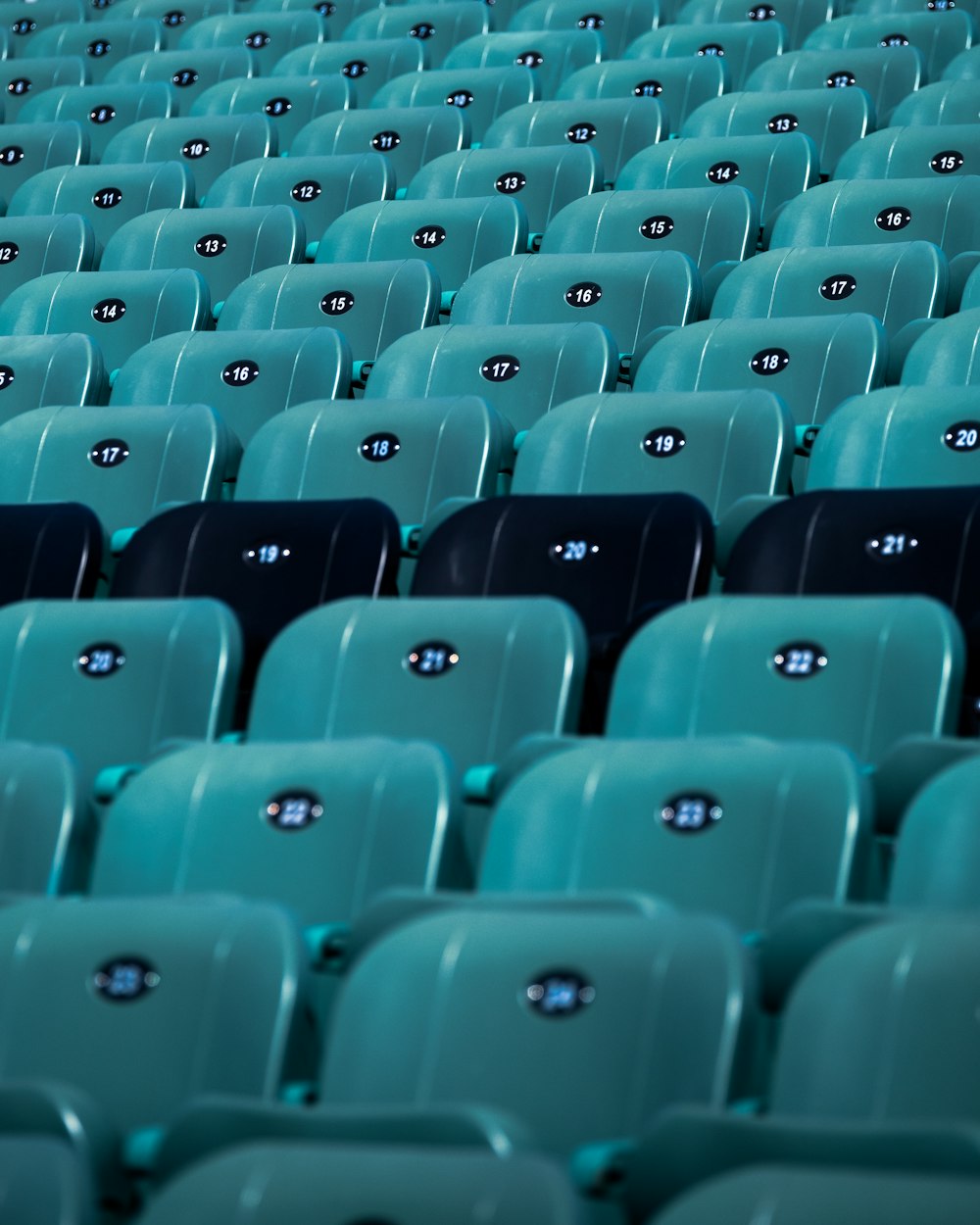 blue plastic chairs in stadium
