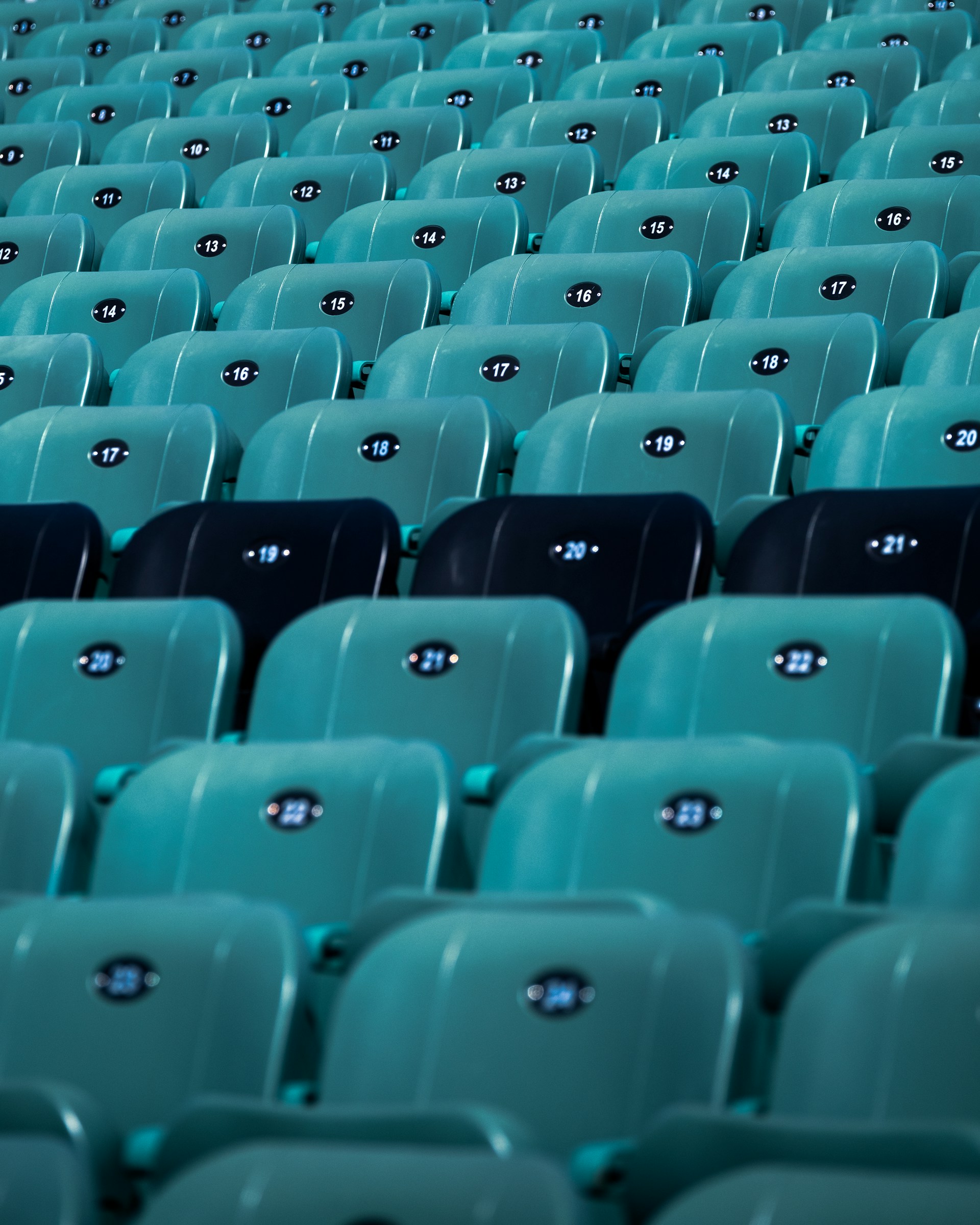 blue plastic chairs in stadium