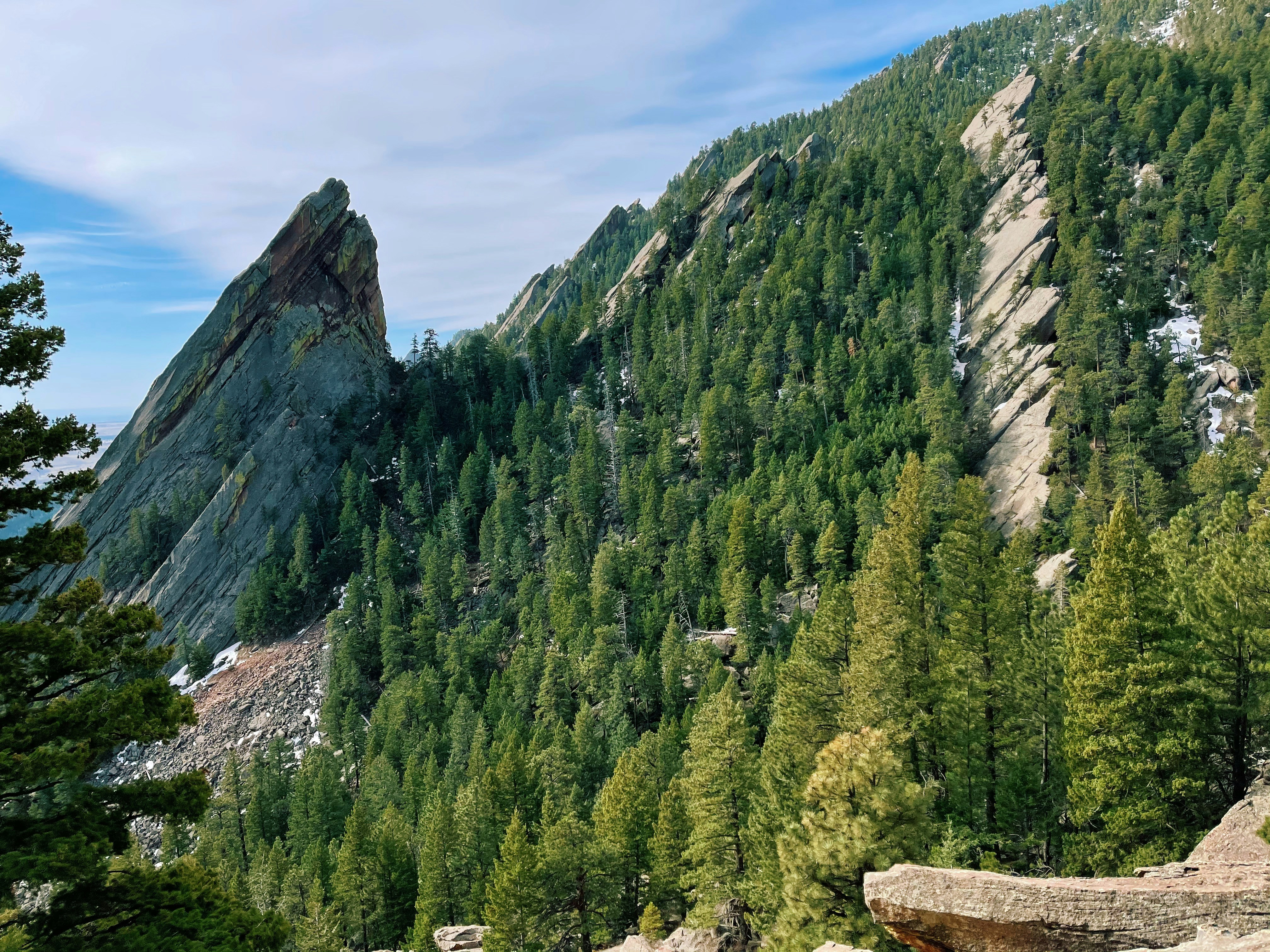 Photo by rickyyarellano