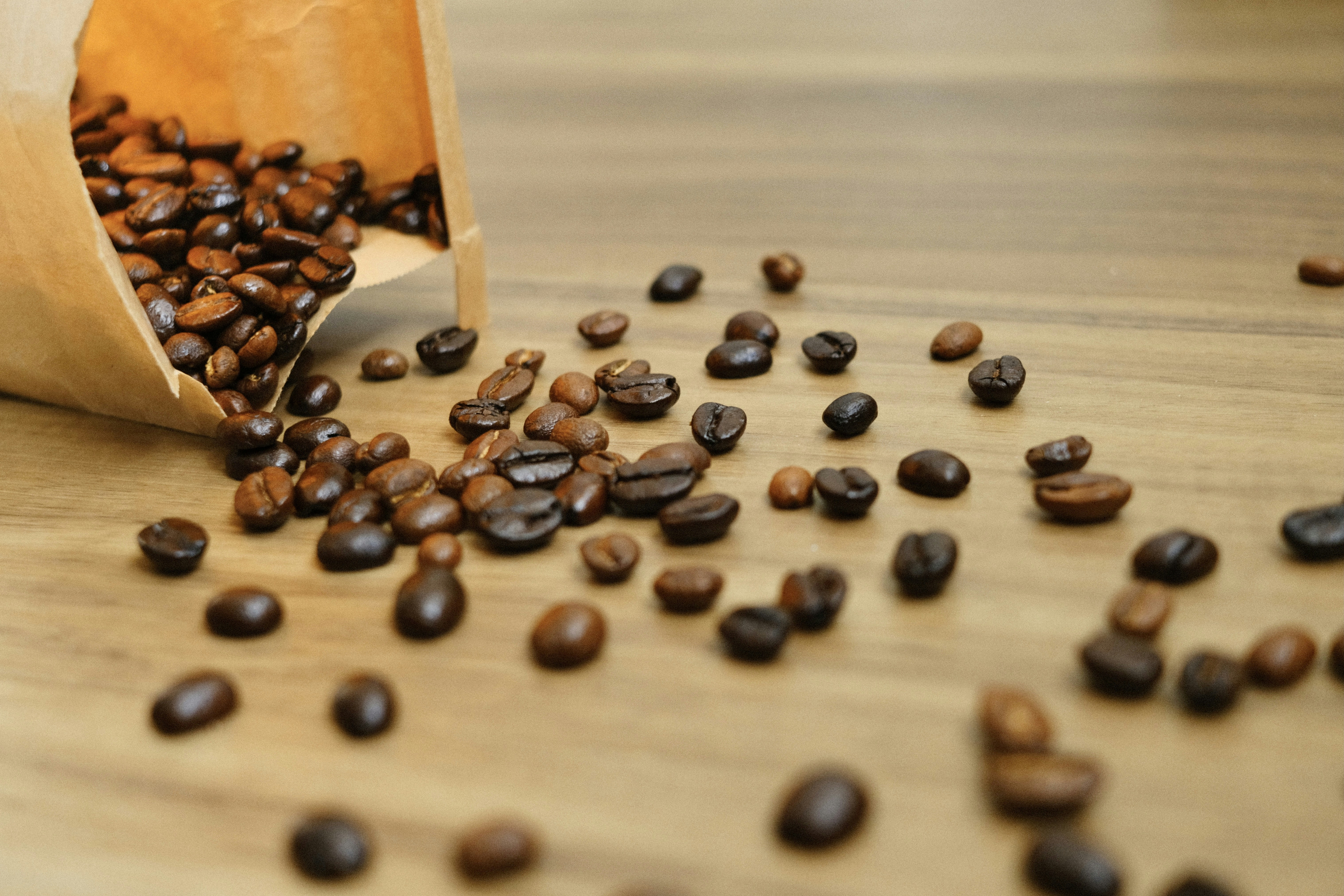 Photo by christinabi