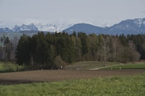 An image showcasing a serene nature landscape.