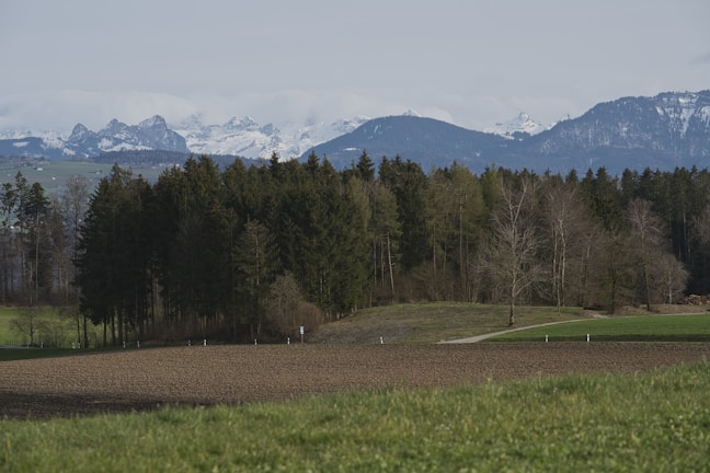 A serene landscape photograph capturing nature's beauty.
