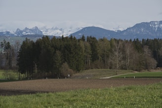 A serene landscape photograph capturing nature's beauty.