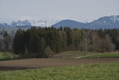A serene landscape photograph showcasing natural beauty.