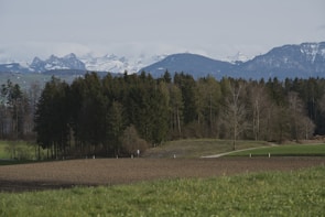 A serene landscape photograph capturing the beauty of nature.