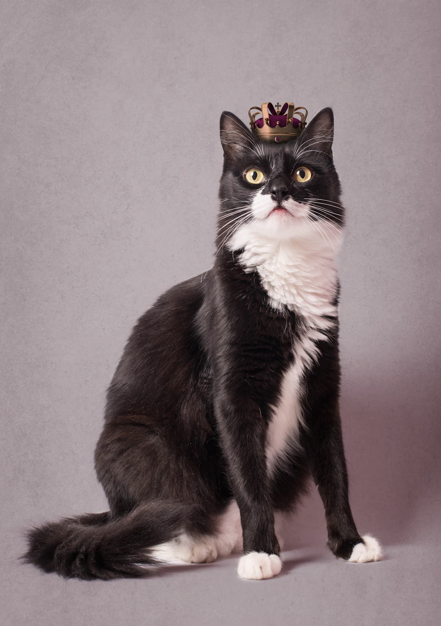 A distinguished cat
