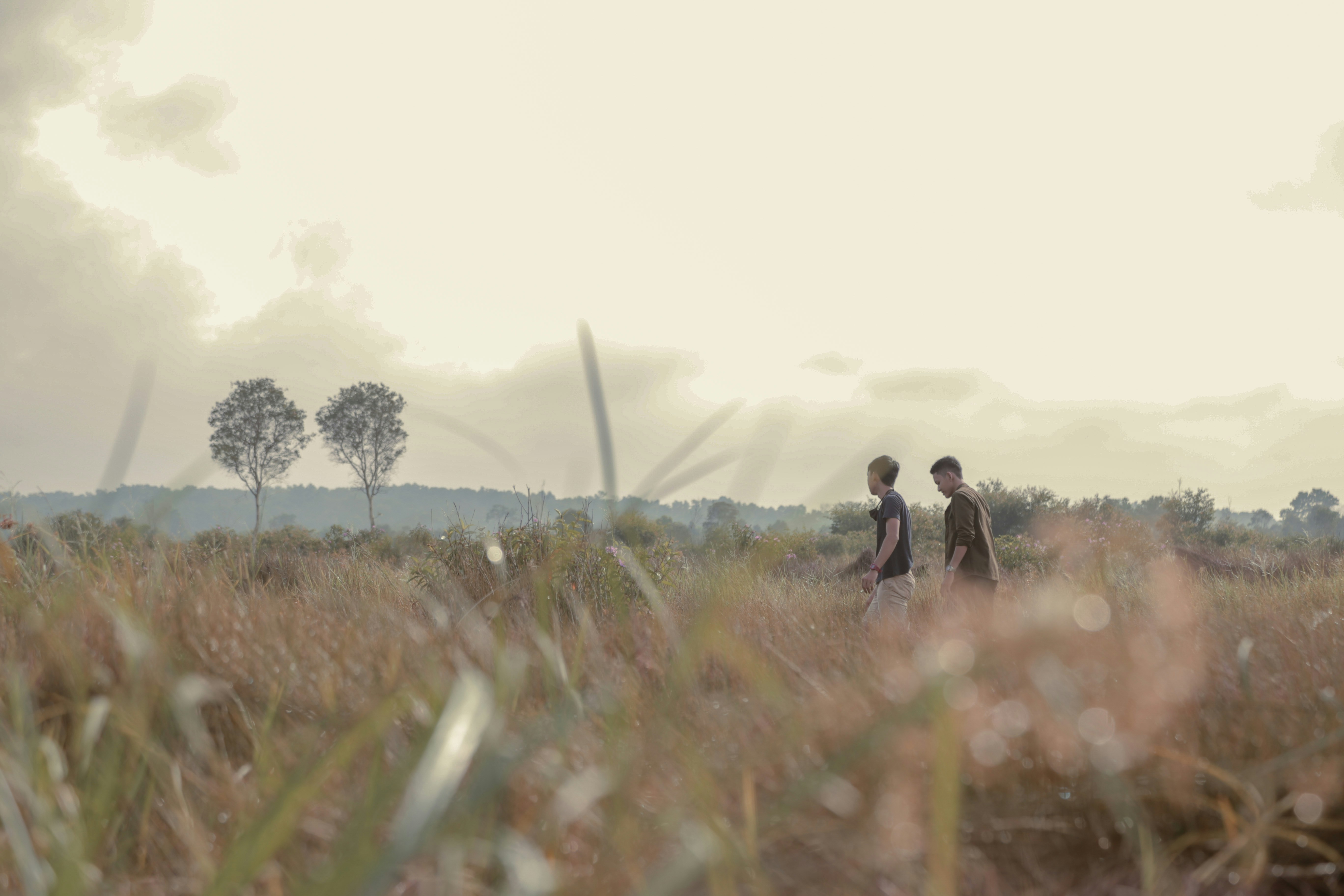 Photo by febriyanadh