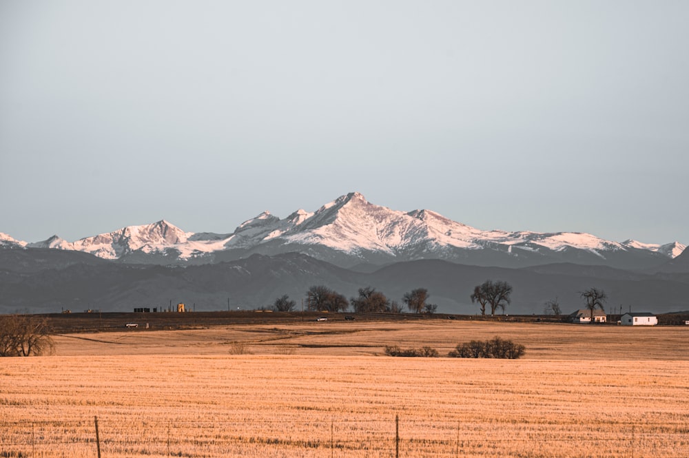 brown field near snow covered mountain during daytime