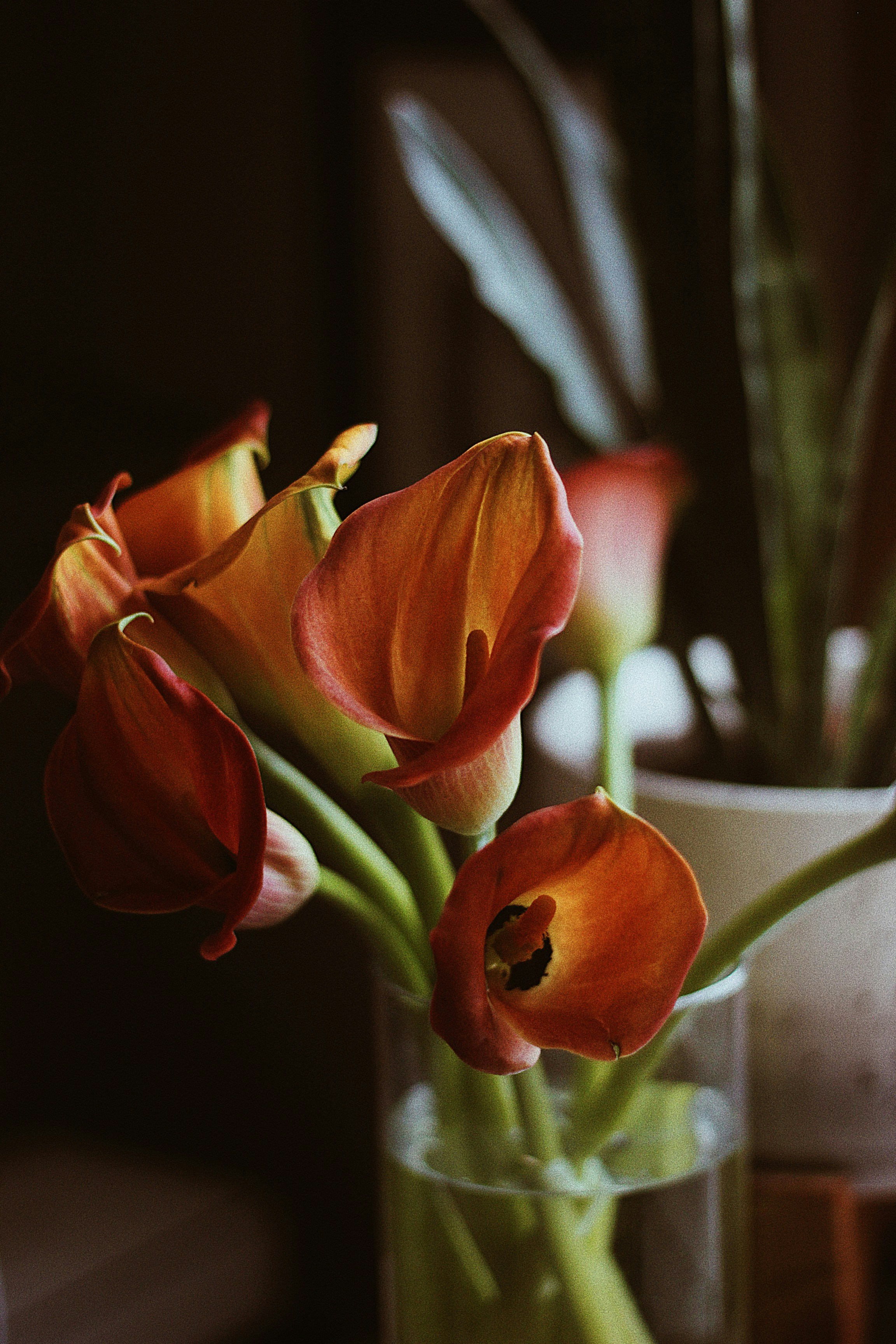 Photo by earthtokarly