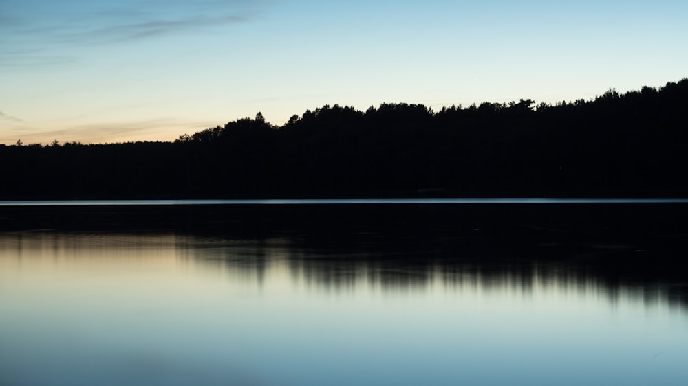 silhouette of trees near body of water during sunset