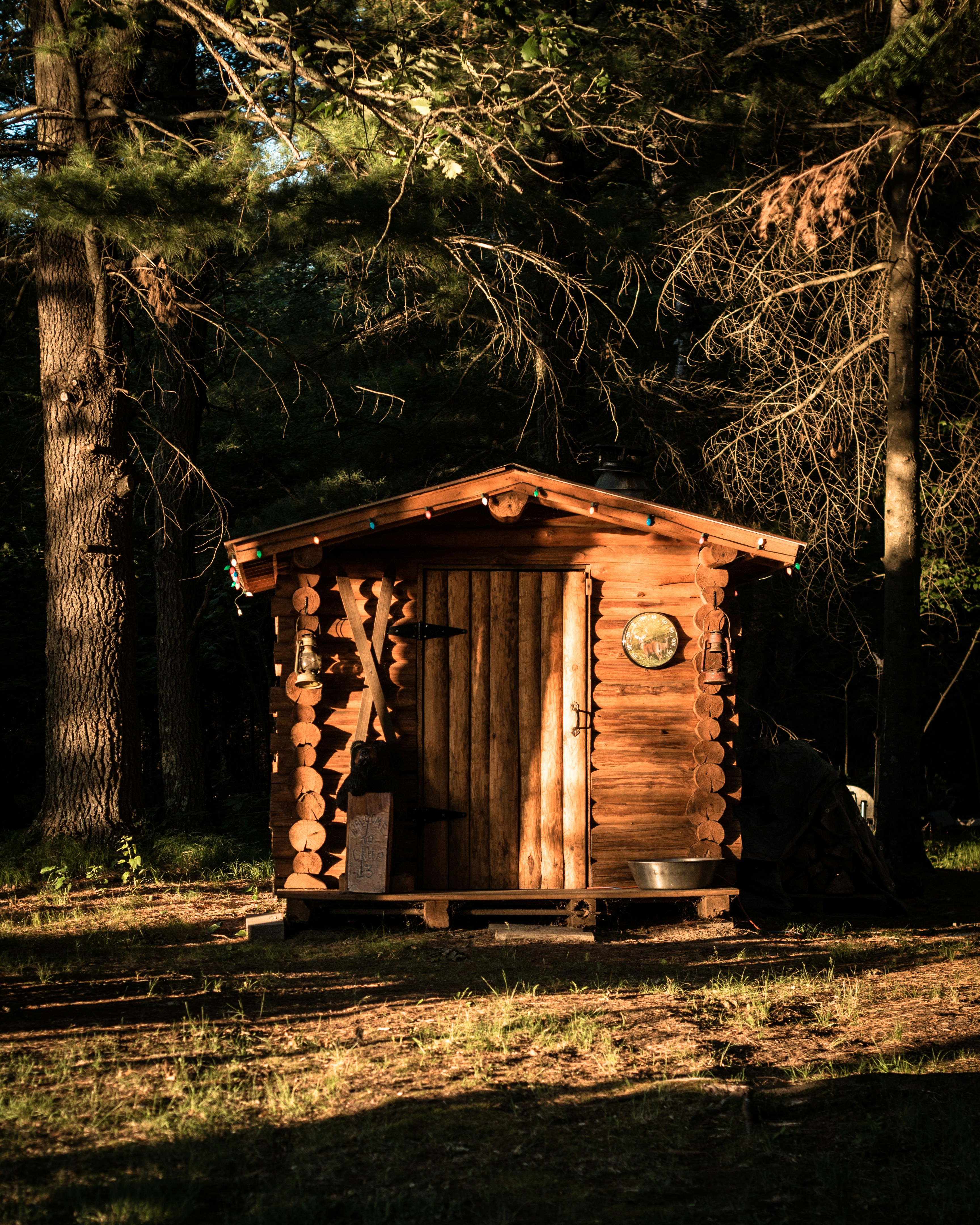 brown wooden house in the woods