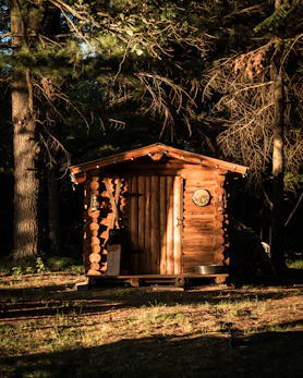 brown wooden house in the woods