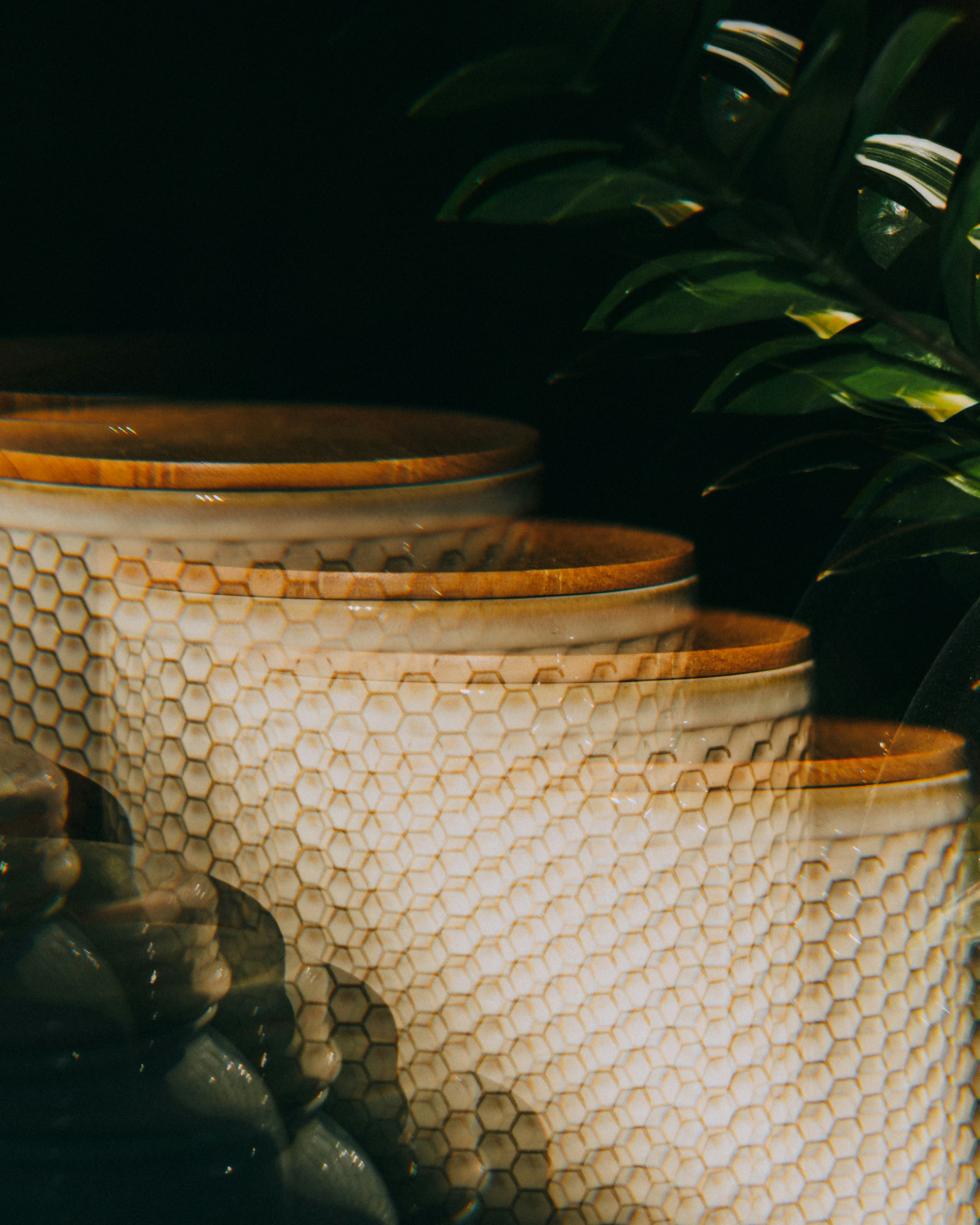 green plant on white pot