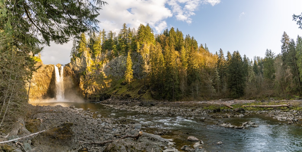 green trees near river under white clouds and blue sky during daytime