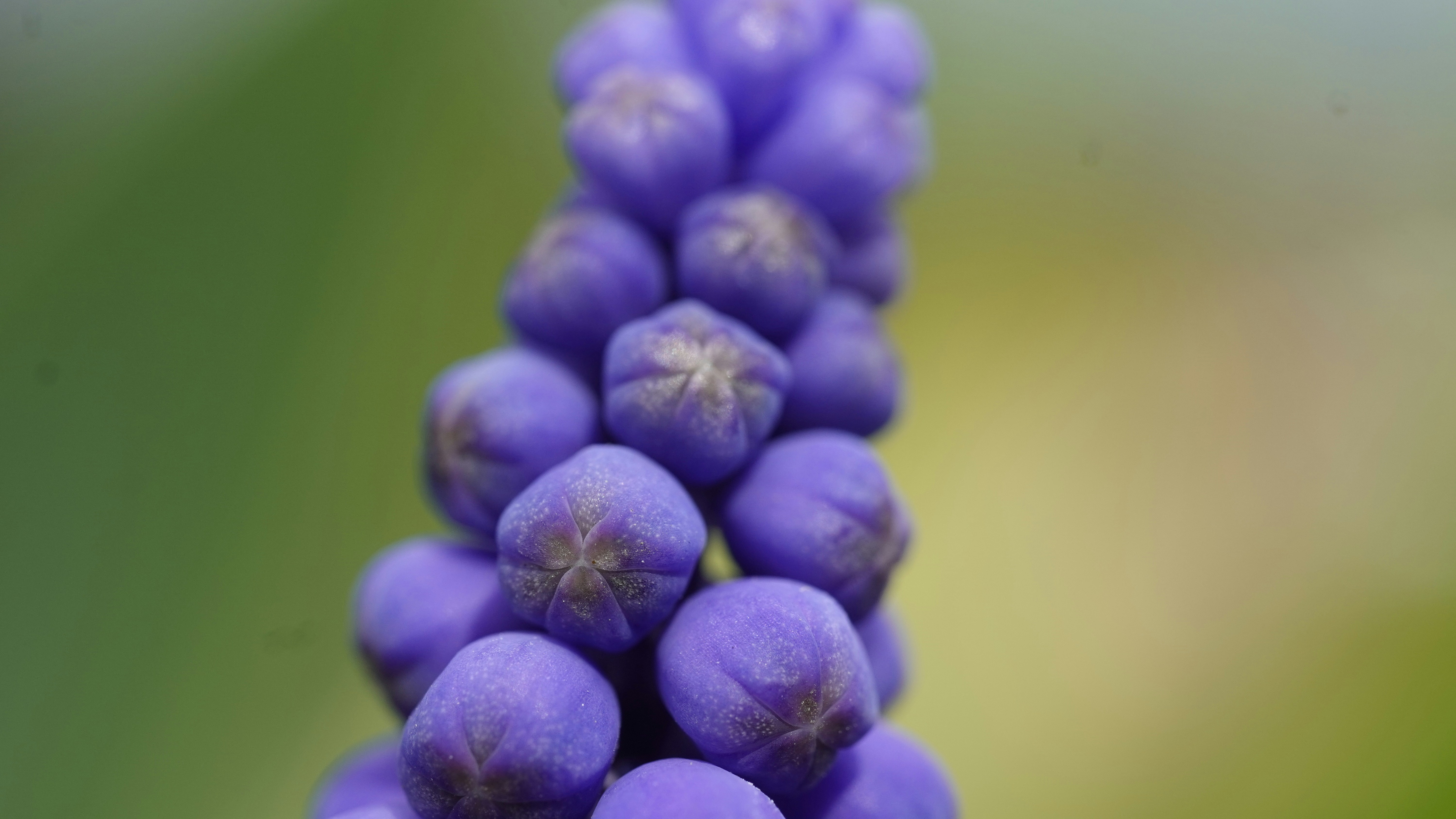 Photo by kohleggermichael