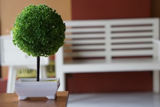 A vibrant artificial cedar topiary in a rustic pot placed on a wooden shelf.