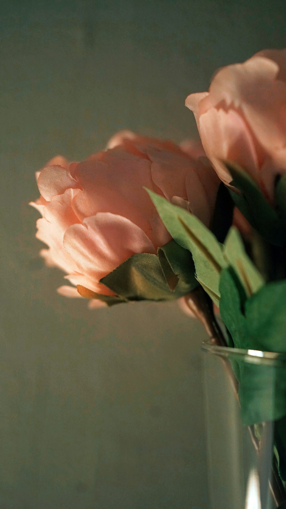 Rose rose dans un vase en verre transparent