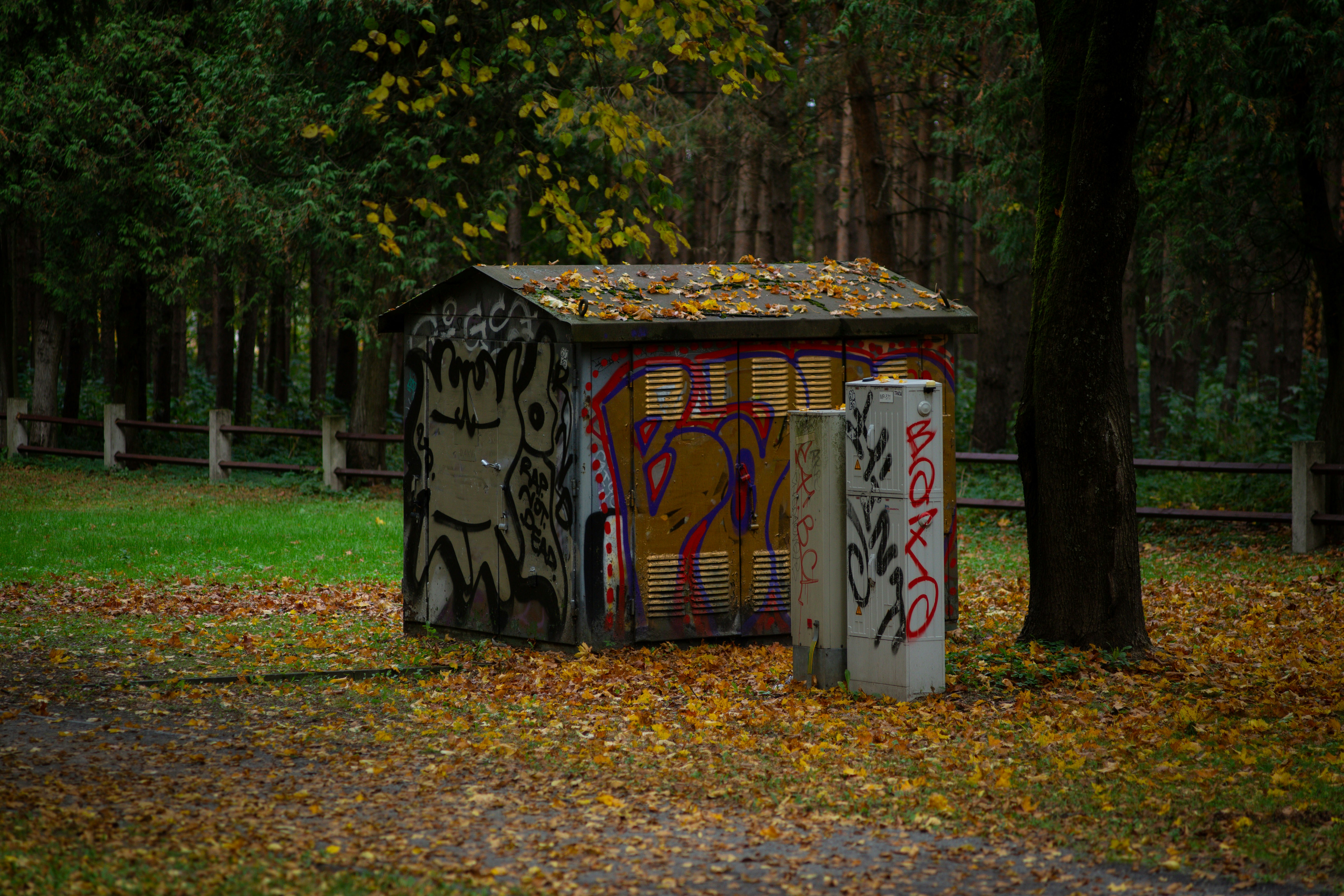Rukainių parkas