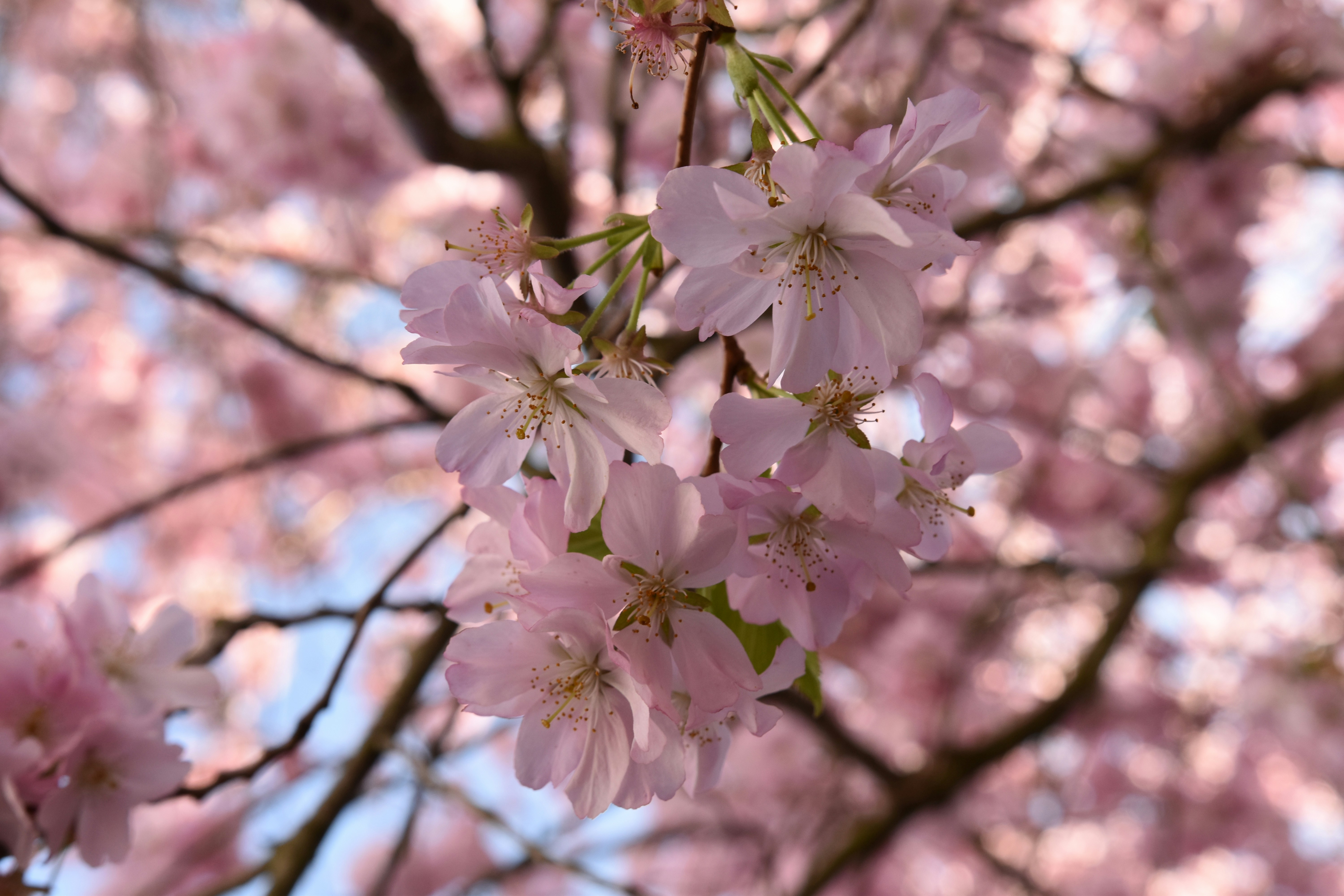 Photo by lauravalkyrja