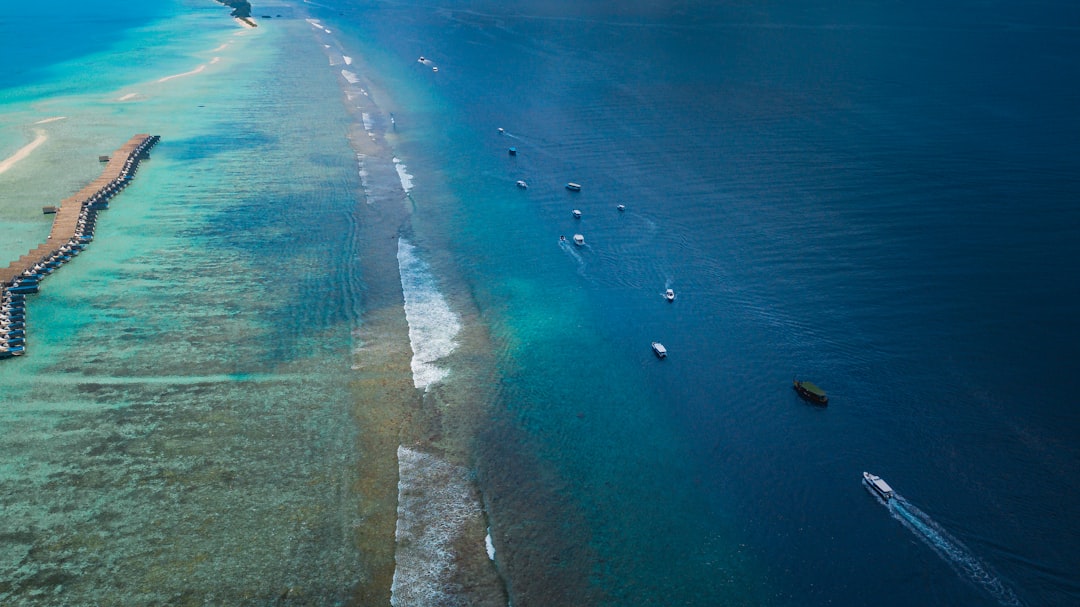 aerial view of people on beach during daytime