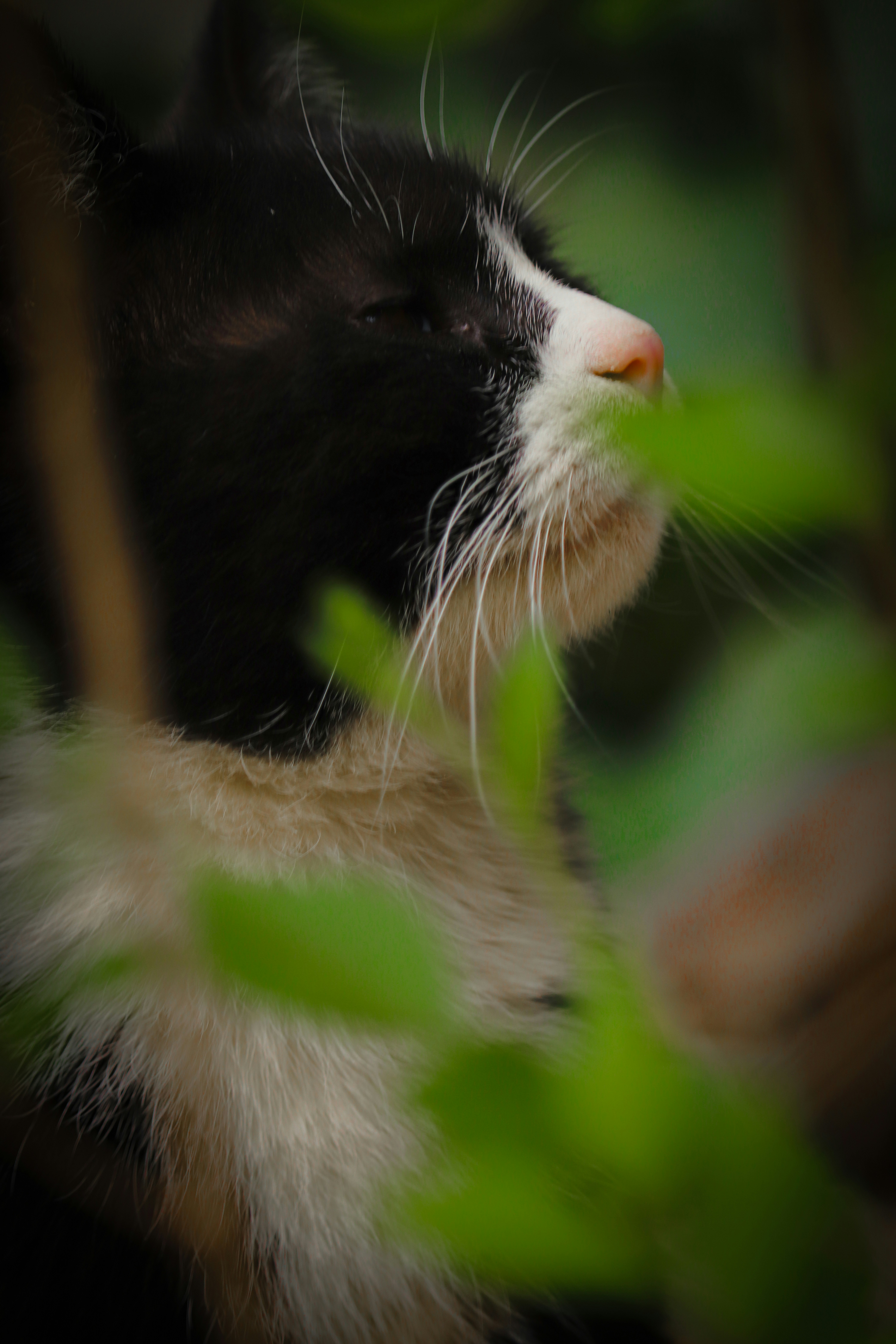 Photo by sinabahar76