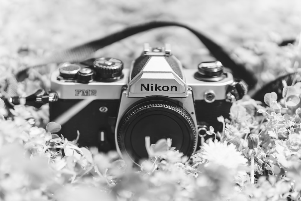 grayscale photo of a nikon dslr camera on a flower field