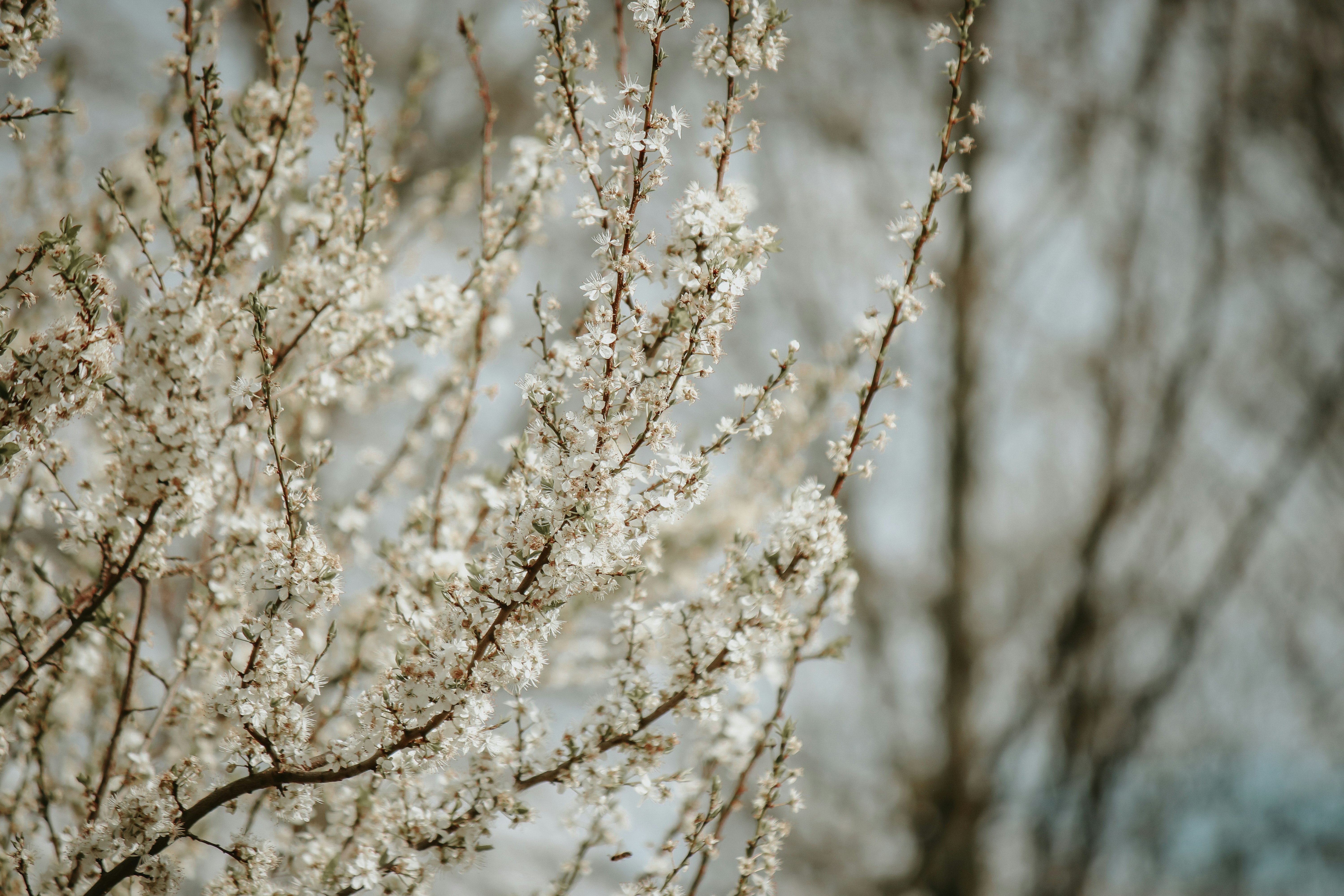 Photo by elisamoldovan
