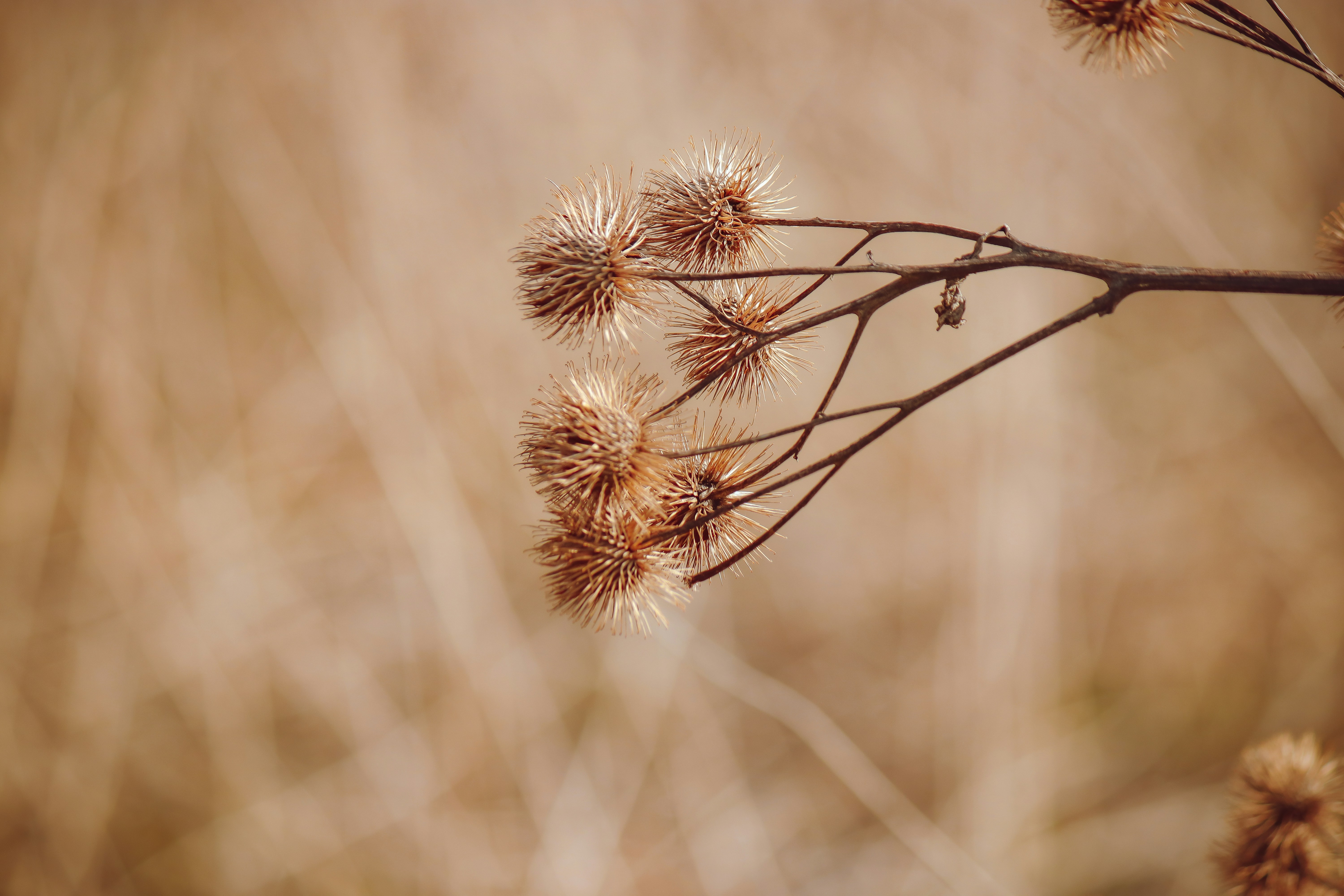 Photo by elisamoldovan