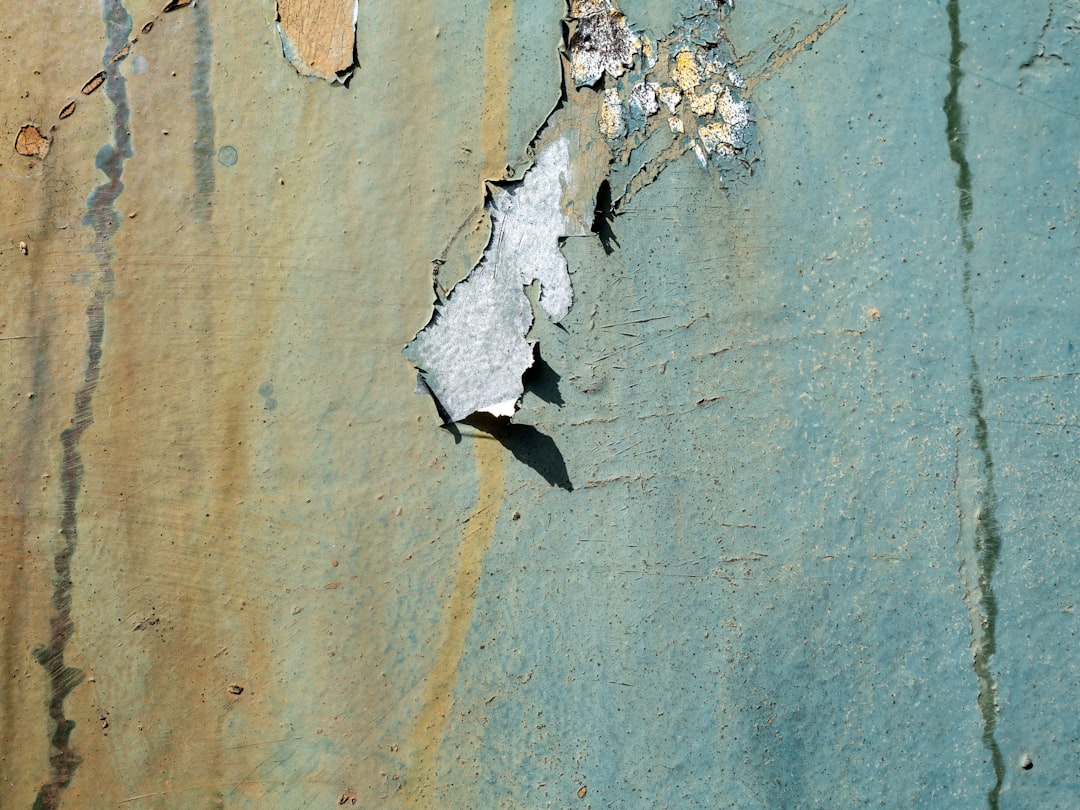 white and brown butterfly on gray concrete wall