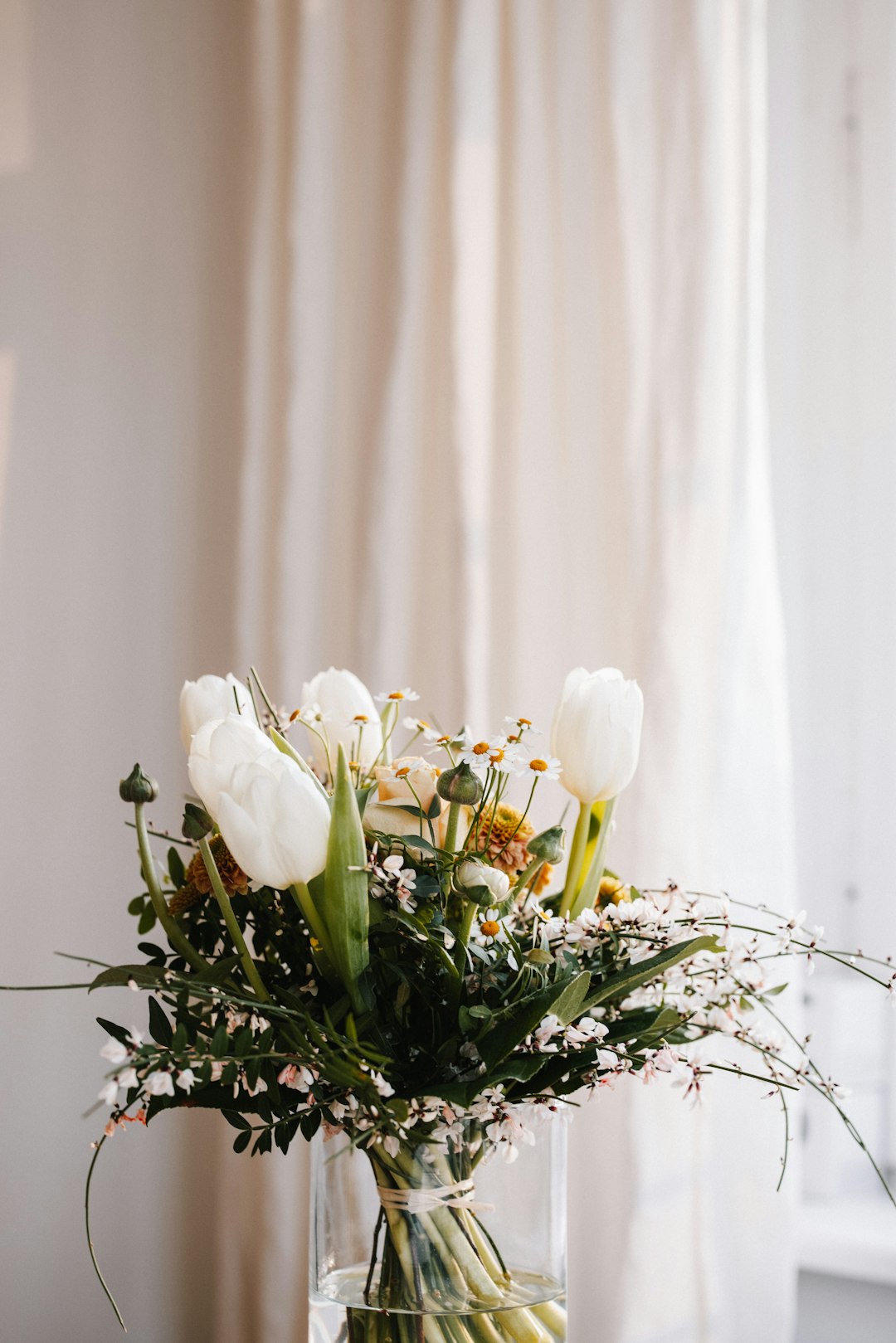 white flowers with green leaves