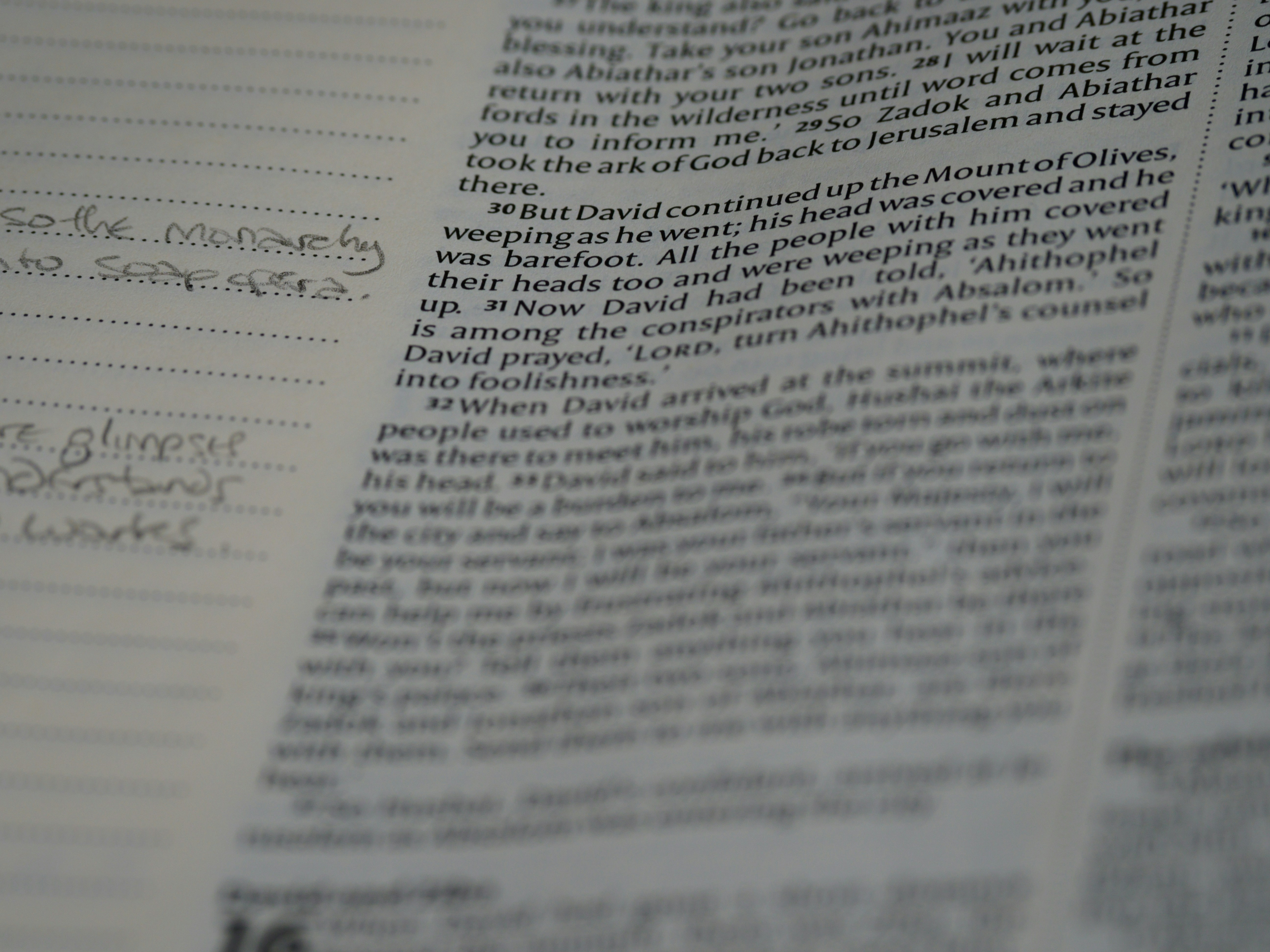 Photo by brett_jordan