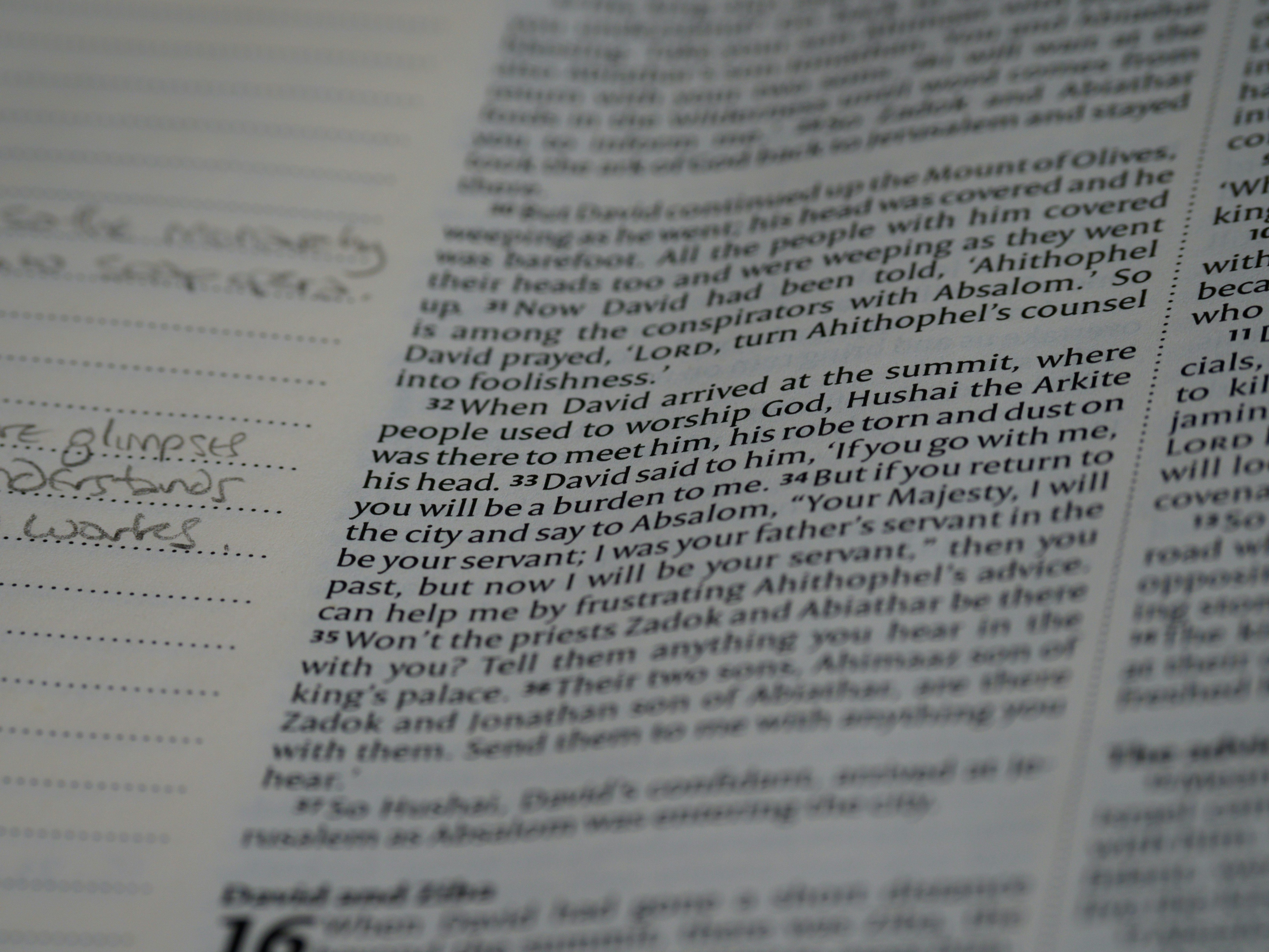 Photo by brett_jordan