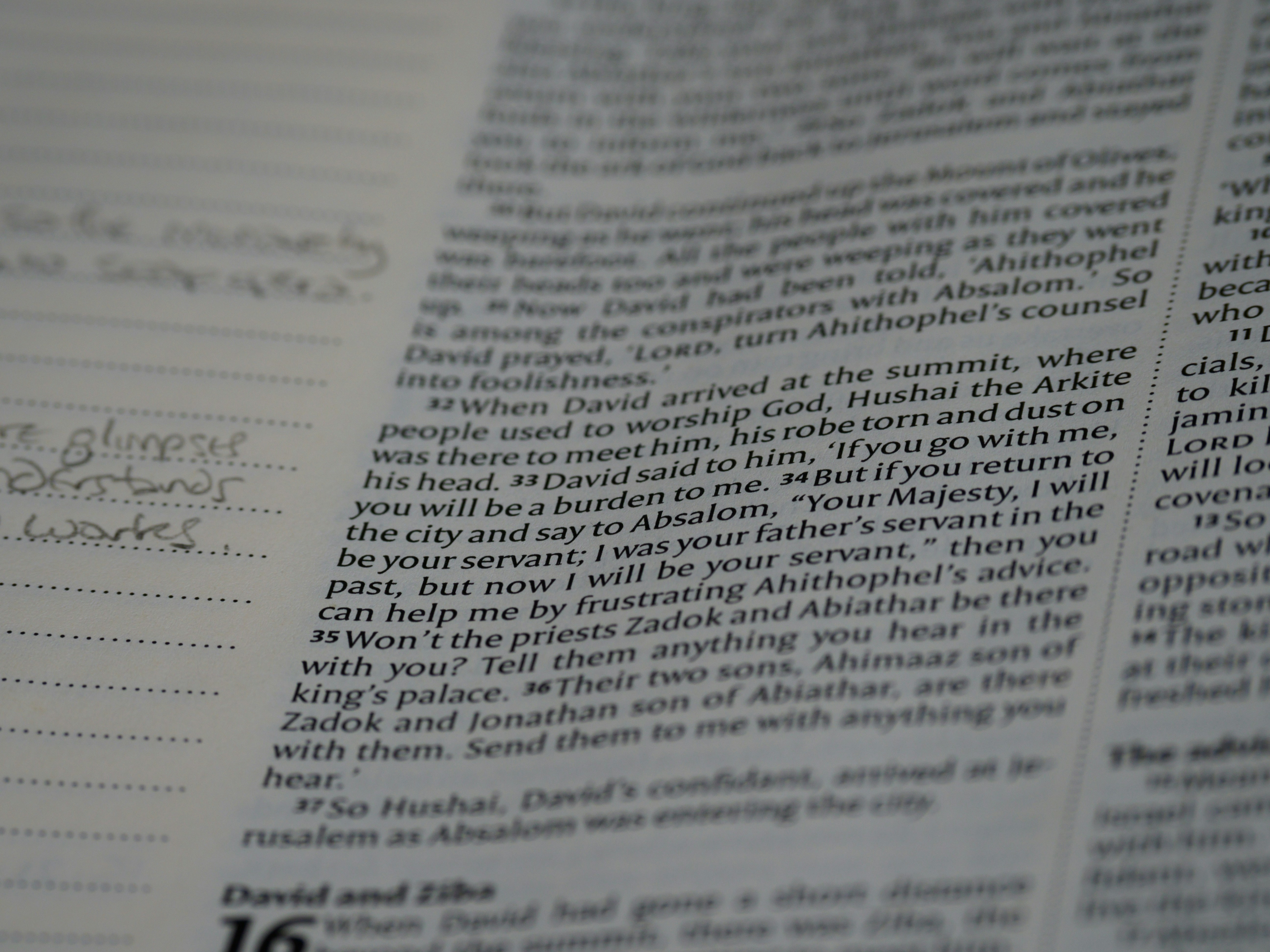 Photo by brett_jordan