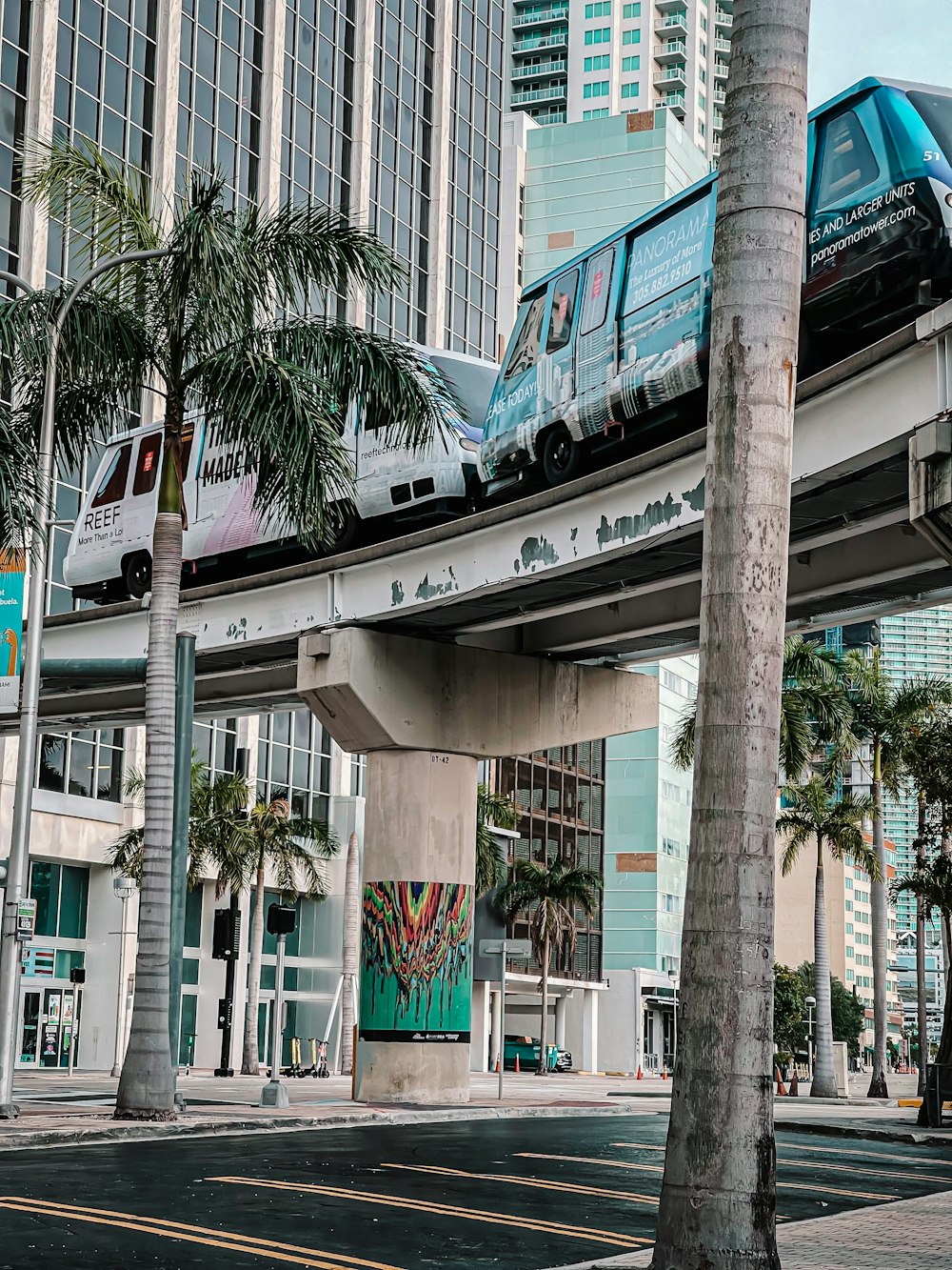 green palm tree near white and brown concrete building during daytime