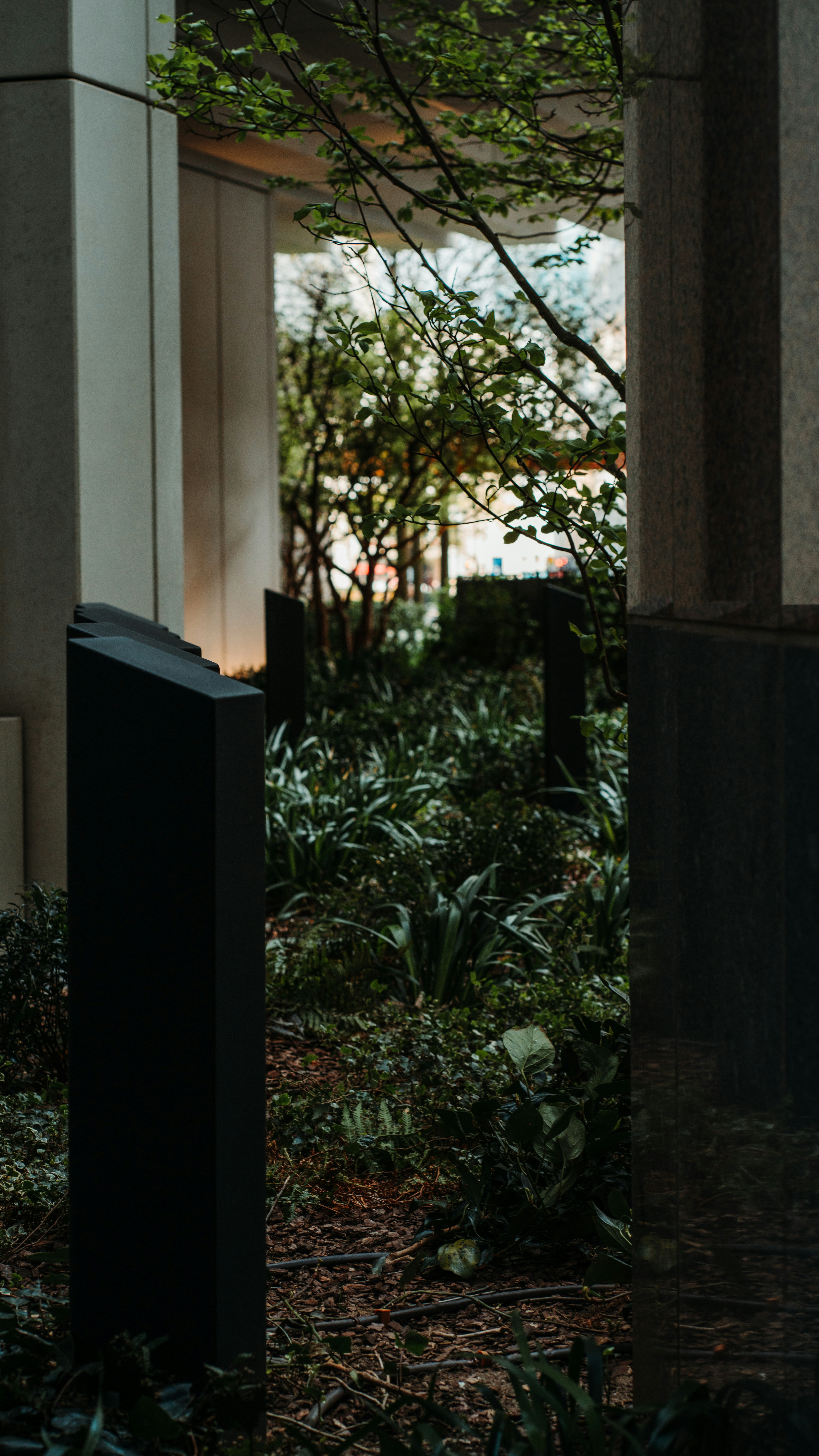 Photo by orangetiephotography