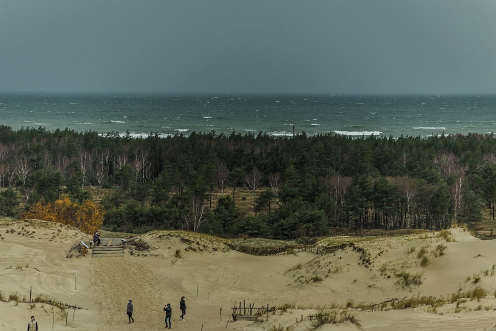 people walking on beach shore during daytime