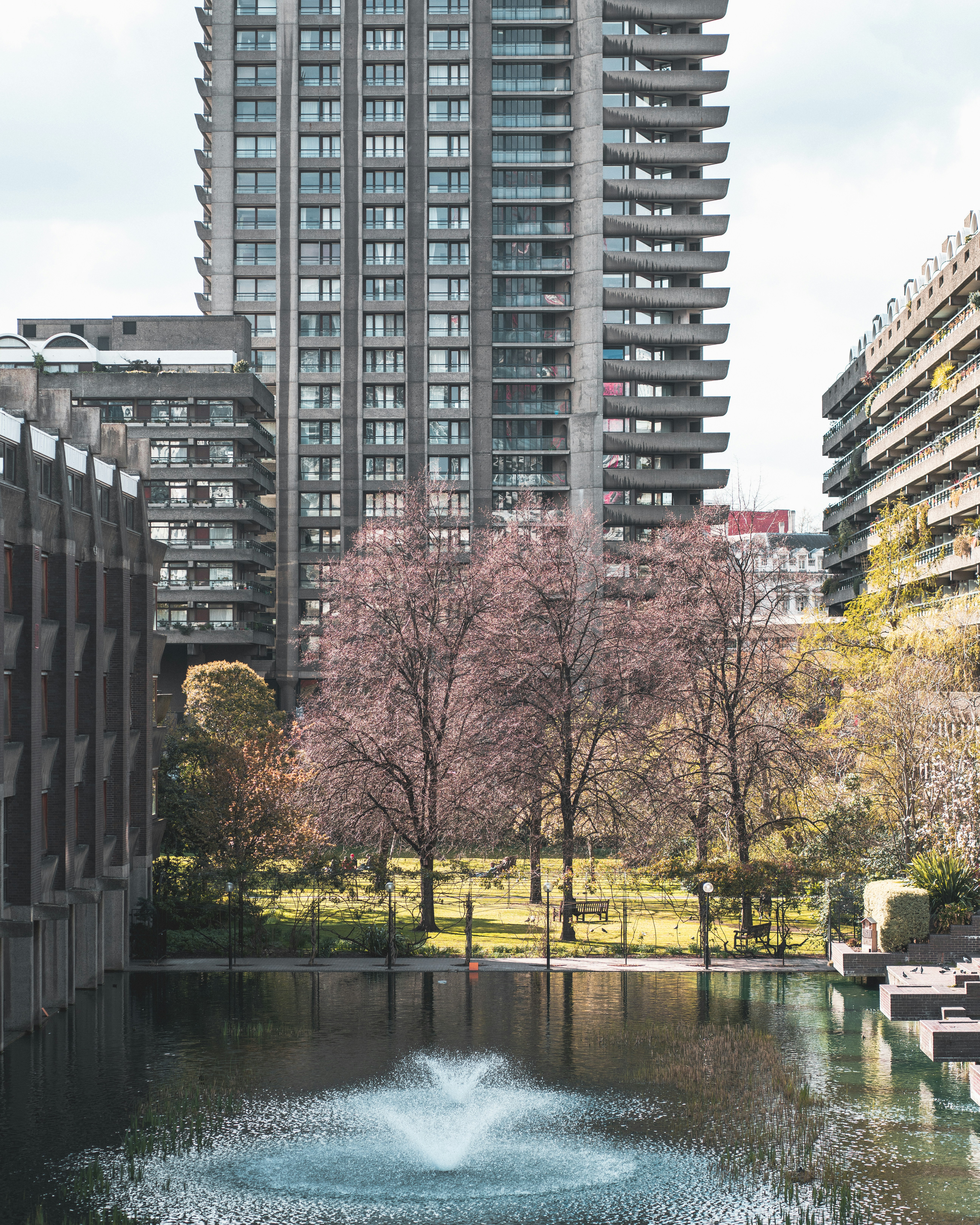 Photo by orangetiephotography