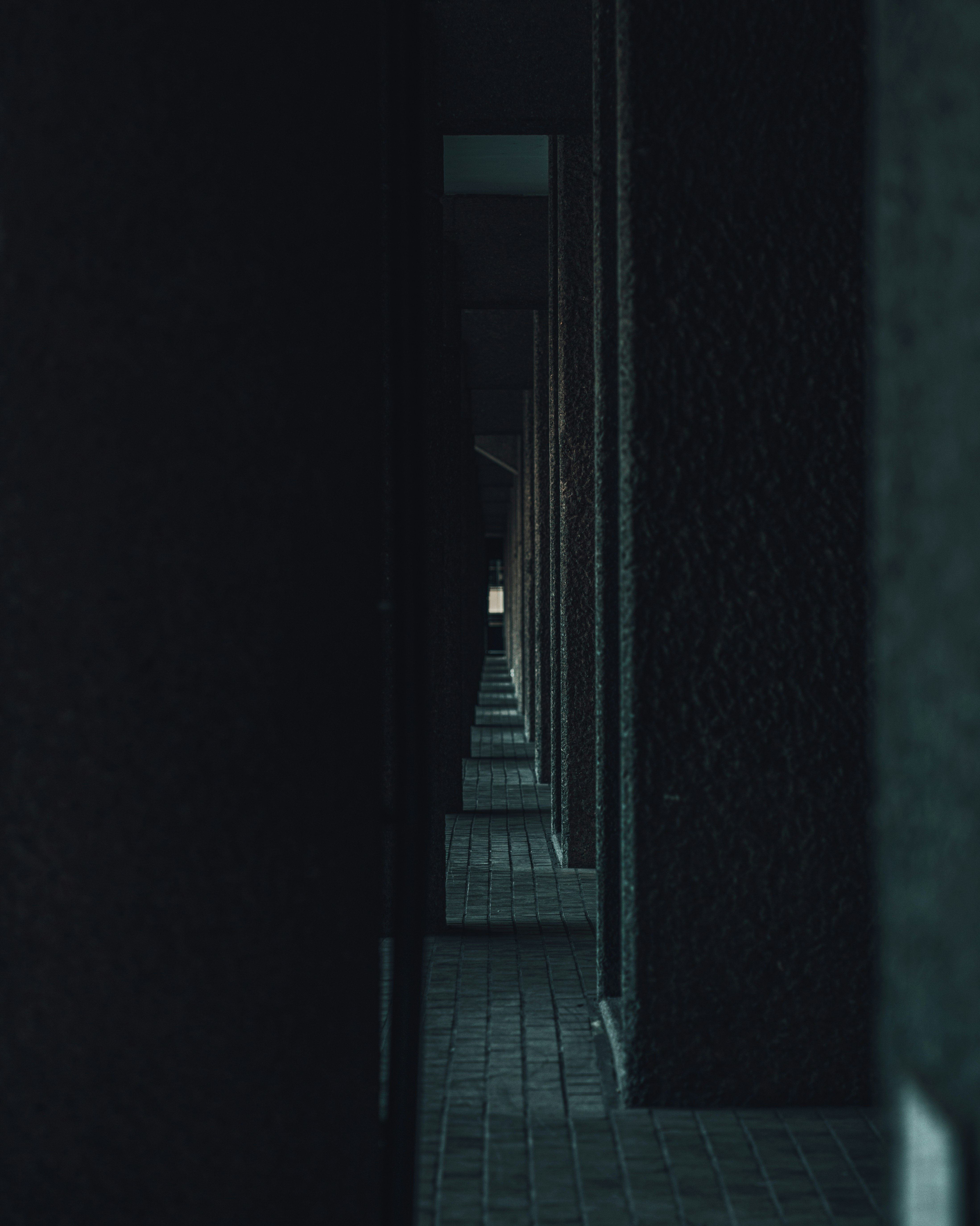 Photo by orangetiephotography