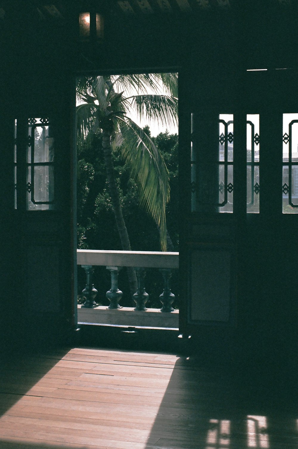 green palm tree near brown wooden door