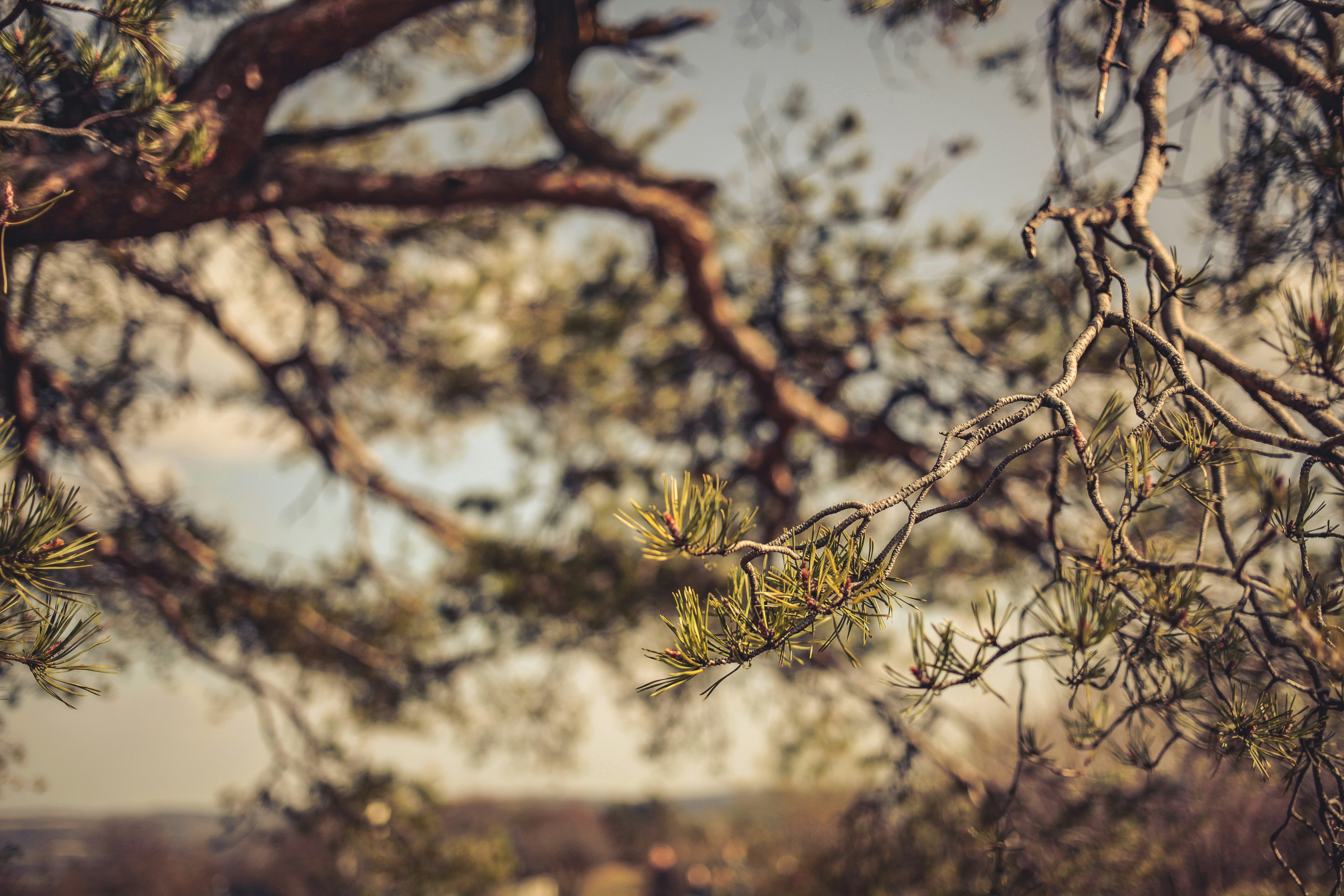 Photo by quadratmedia