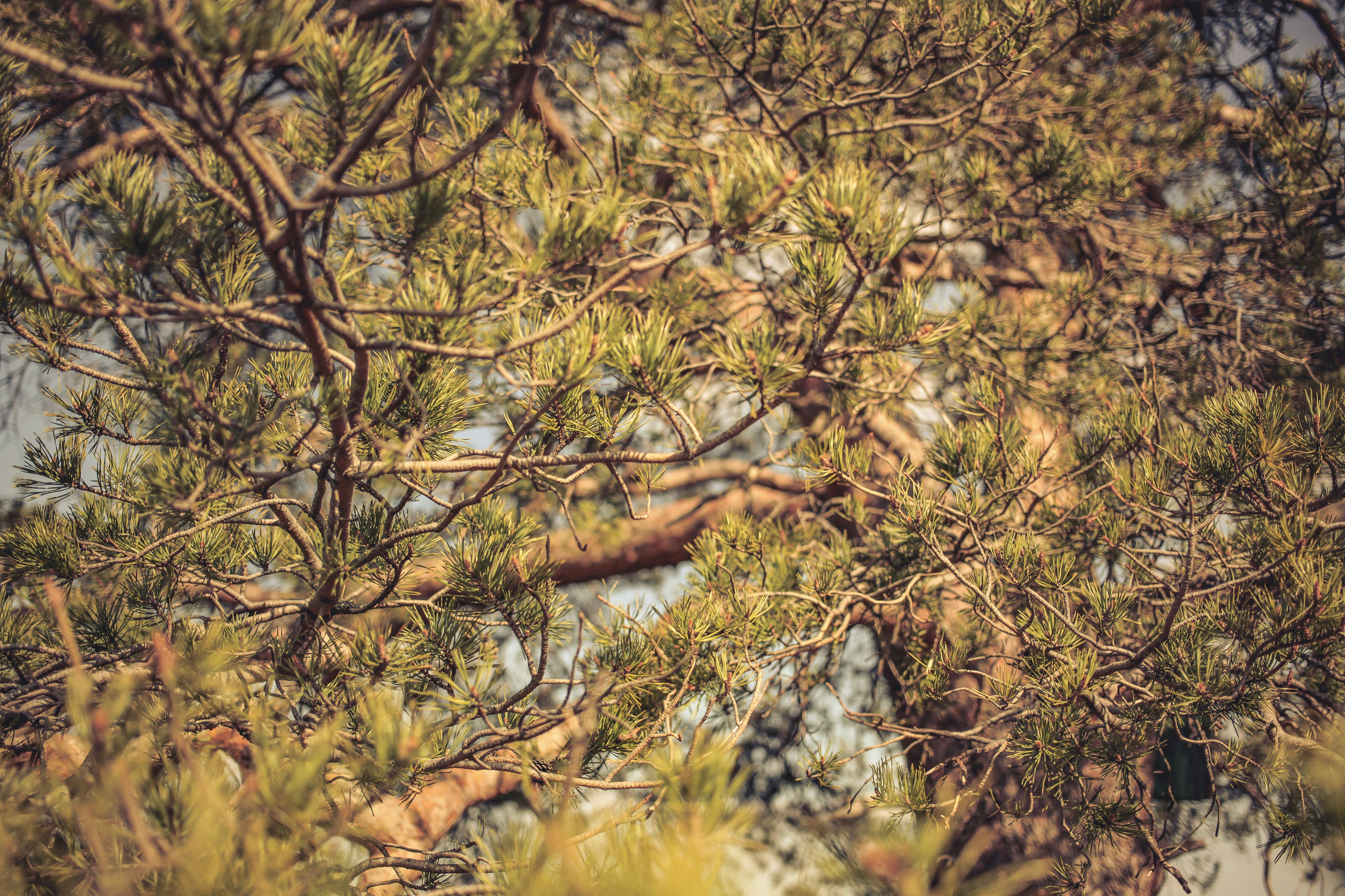 Photo by quadratmedia