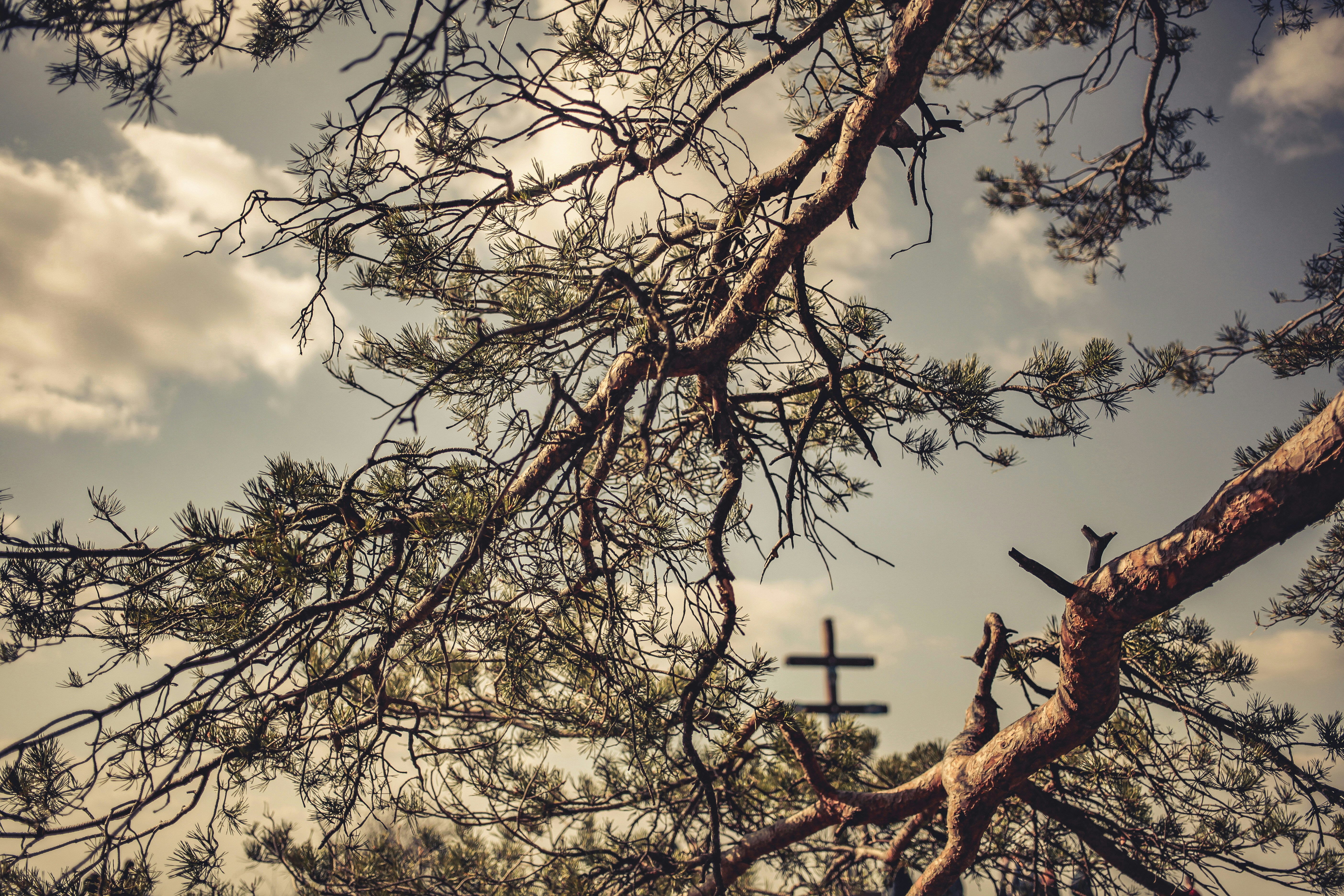 Alternative text for describing the image displayed