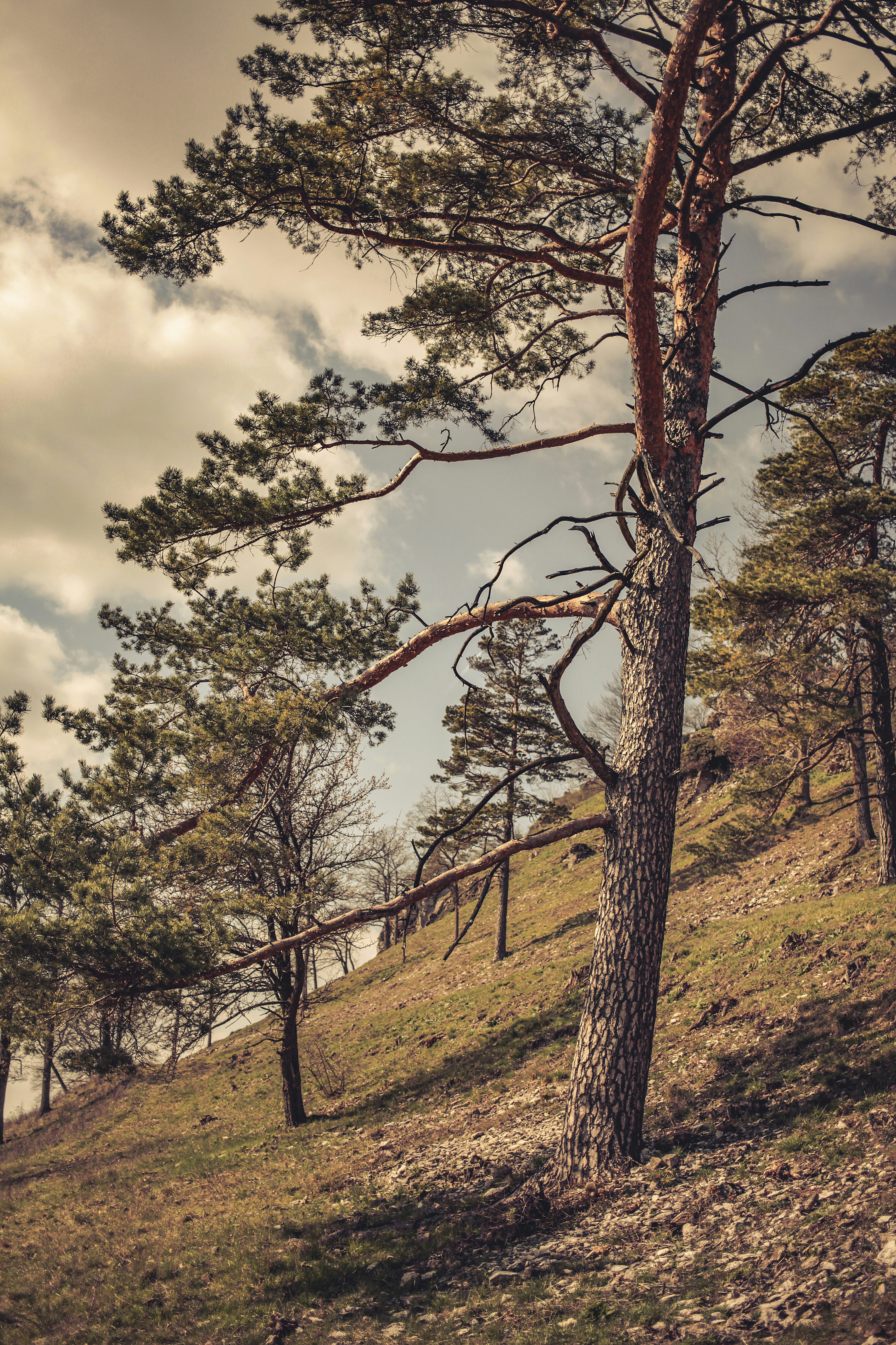 Photo by quadratmedia