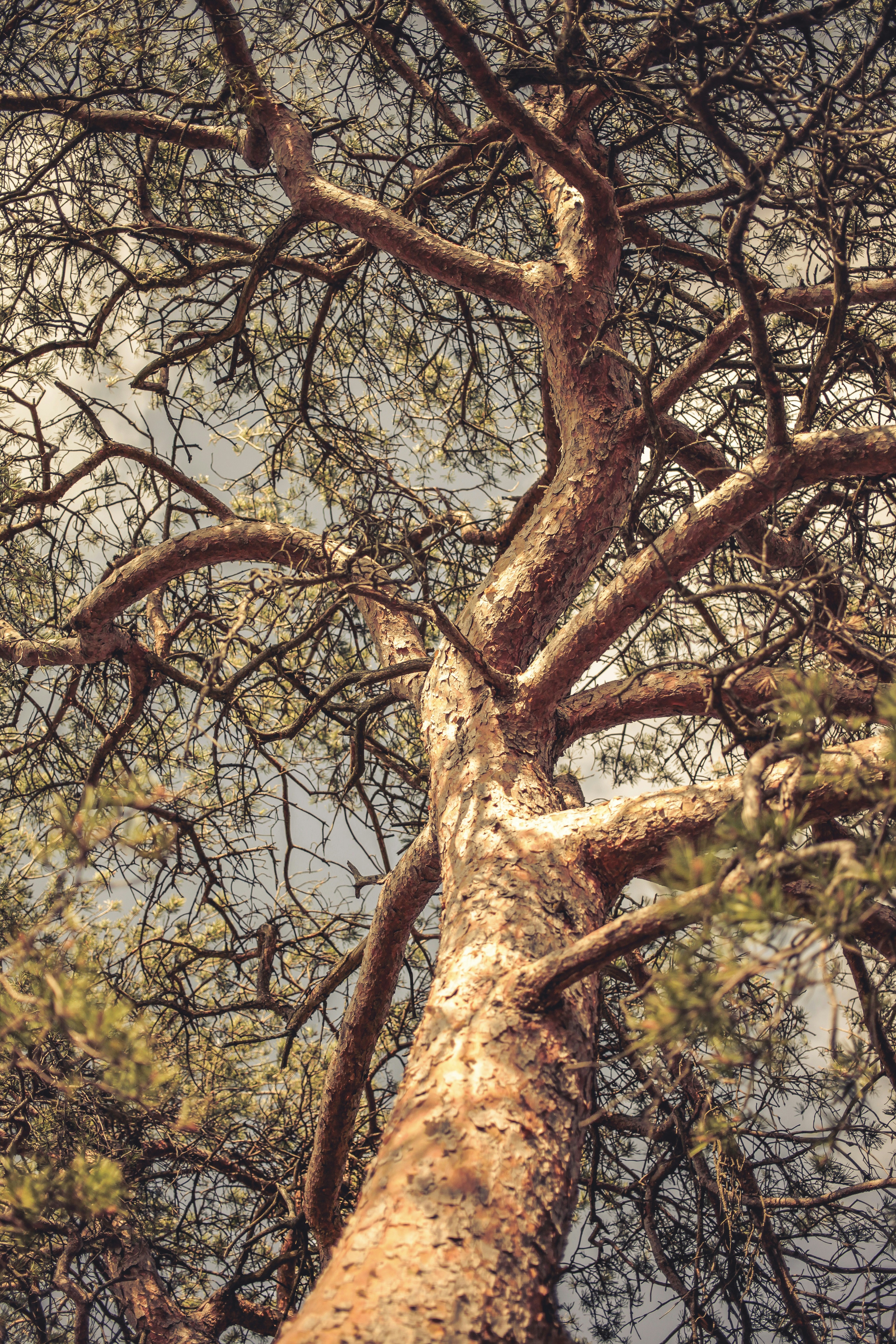 Photo by quadratmedia