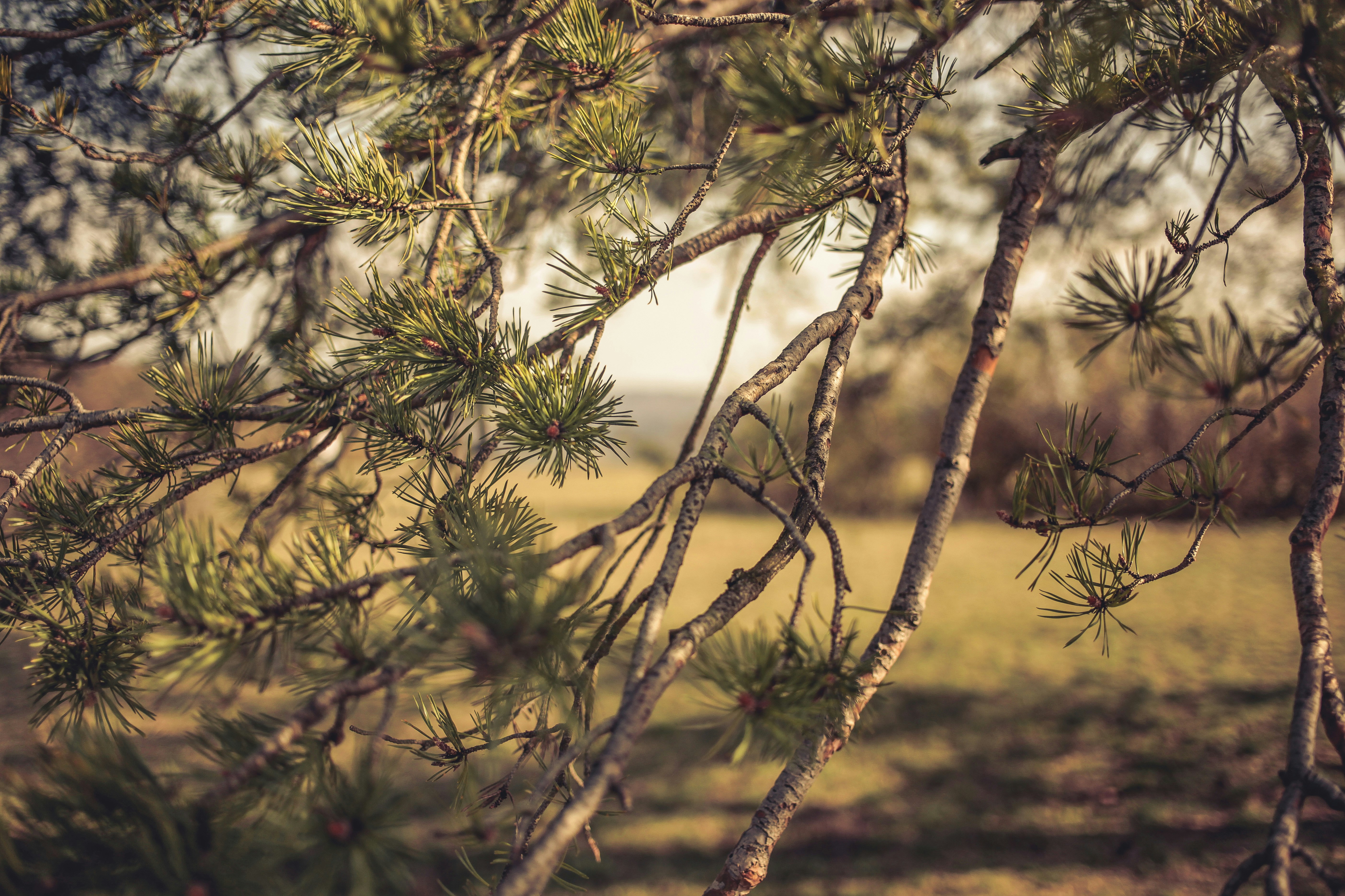 Photo by quadratmedia