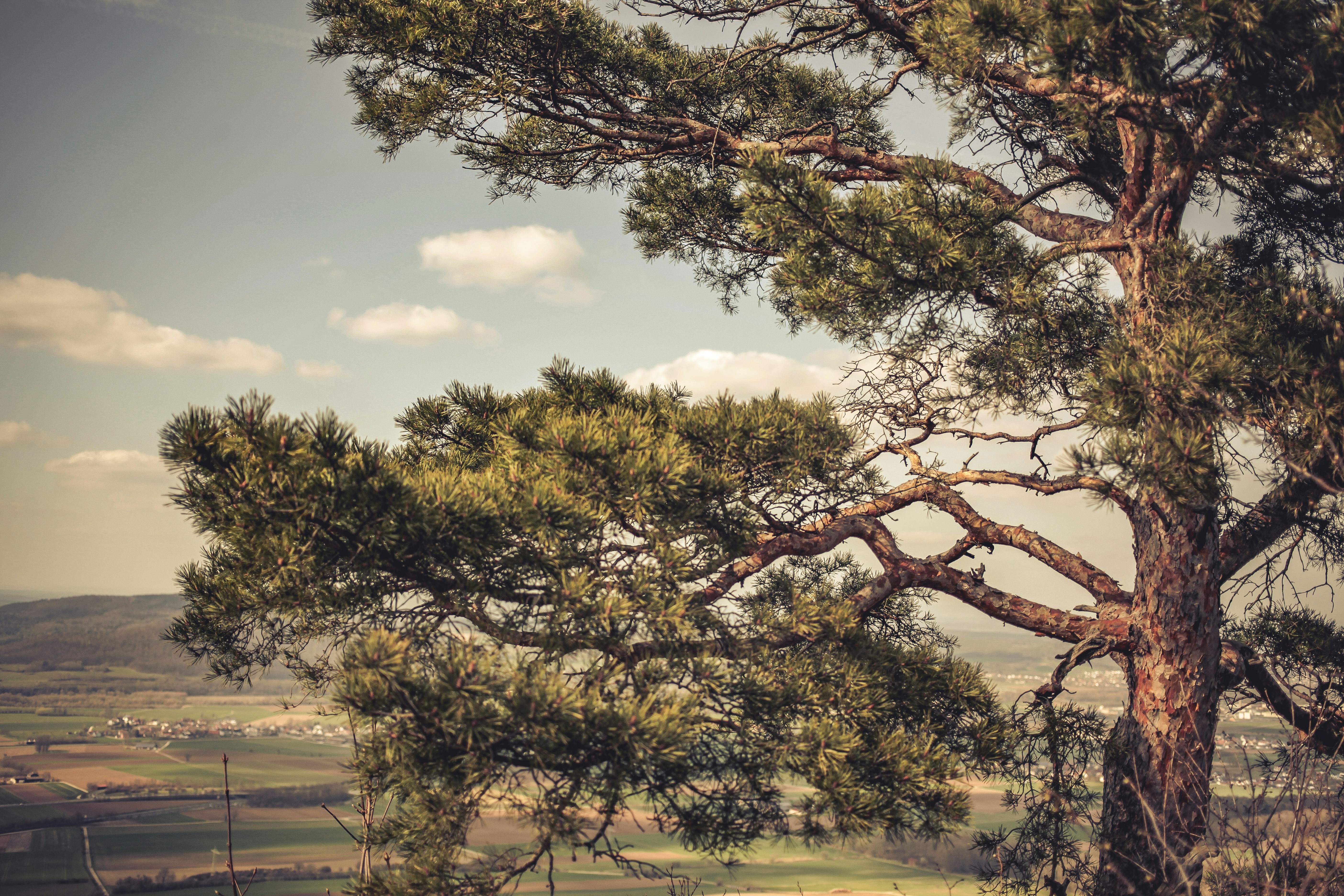 Photo by quadratmedia