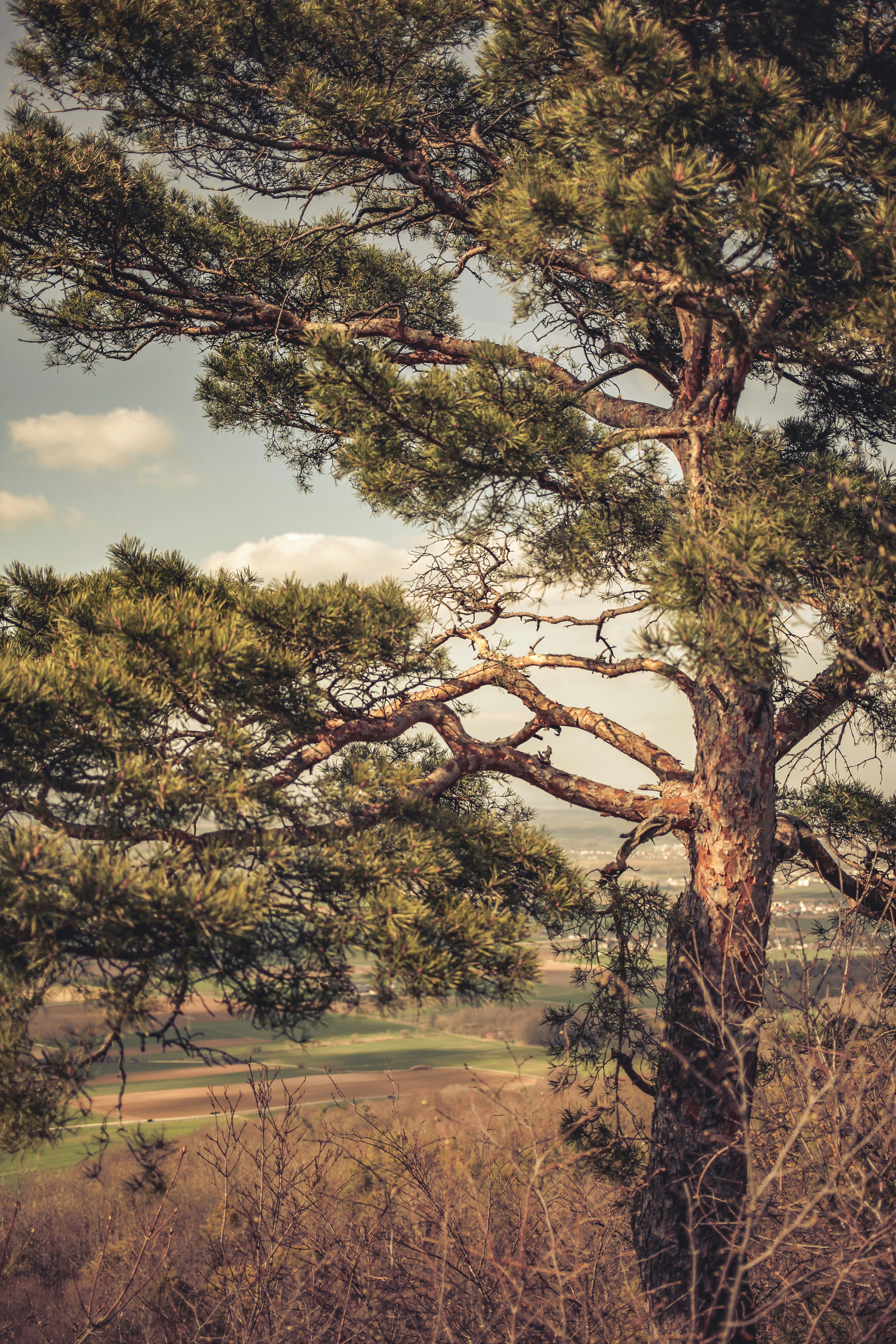 Photo by quadratmedia