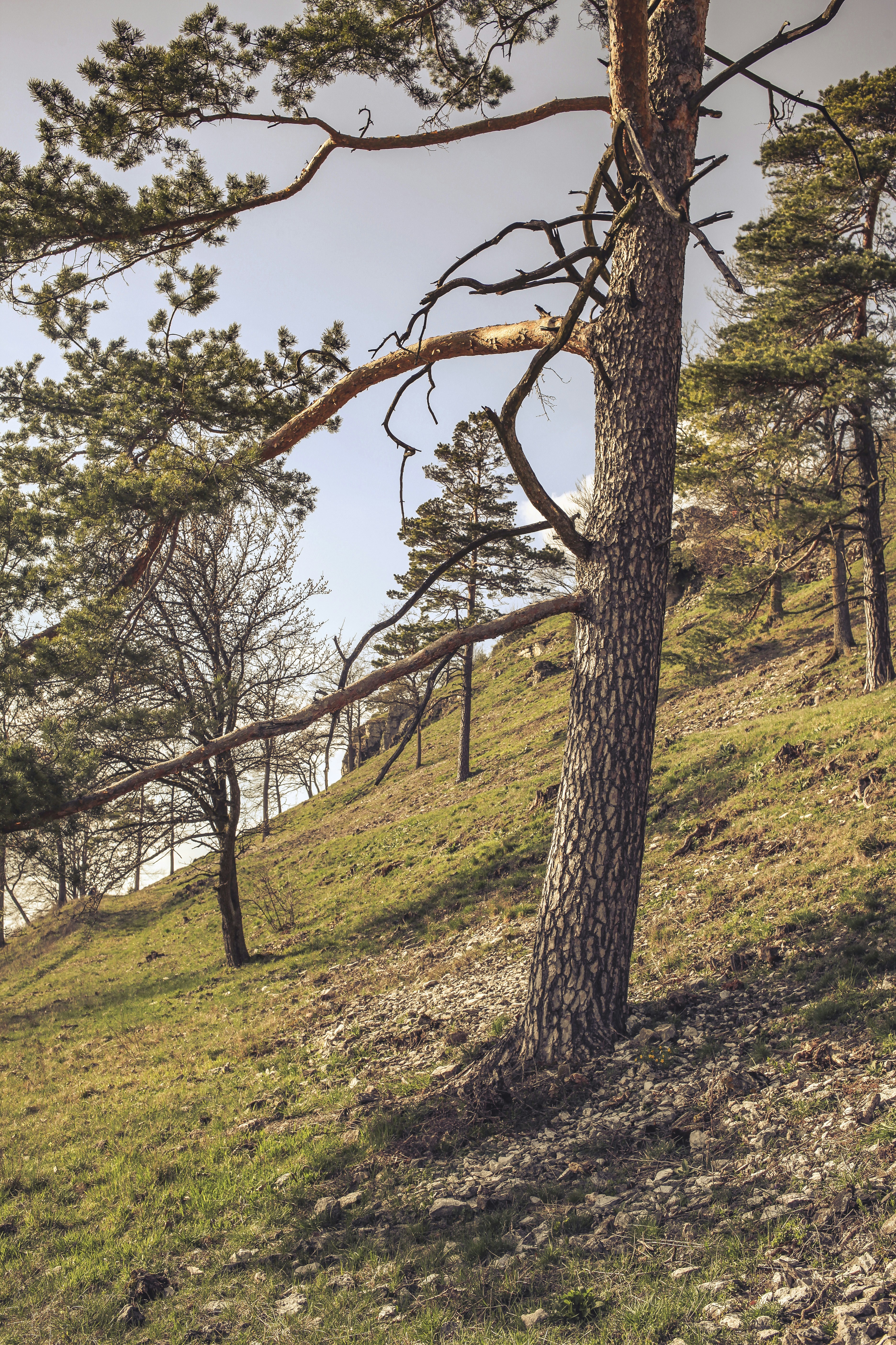 Photo by quadratmedia