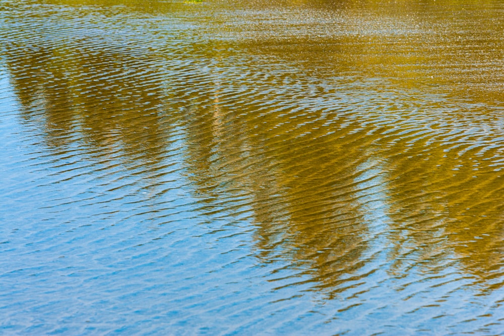 Braunes und weißes Wasser tagsüber